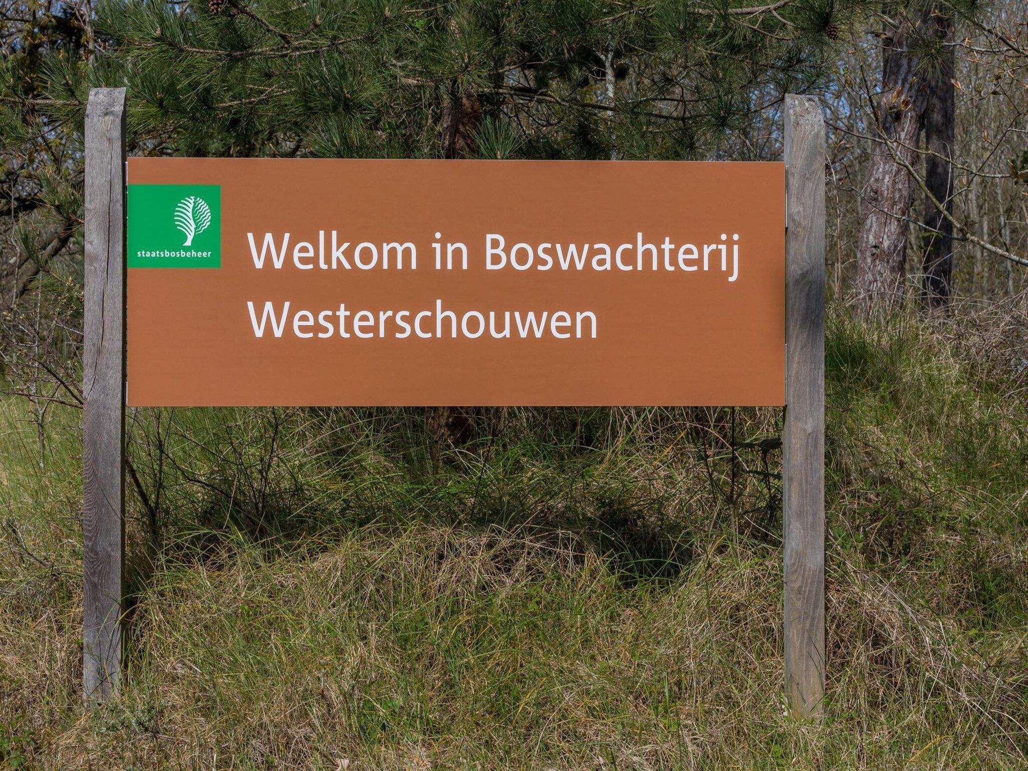 Sfeerbeeld van Duinhoeve Duinlodges 2 pers (huisdiervriendelijk) in Burgh-Haamstede