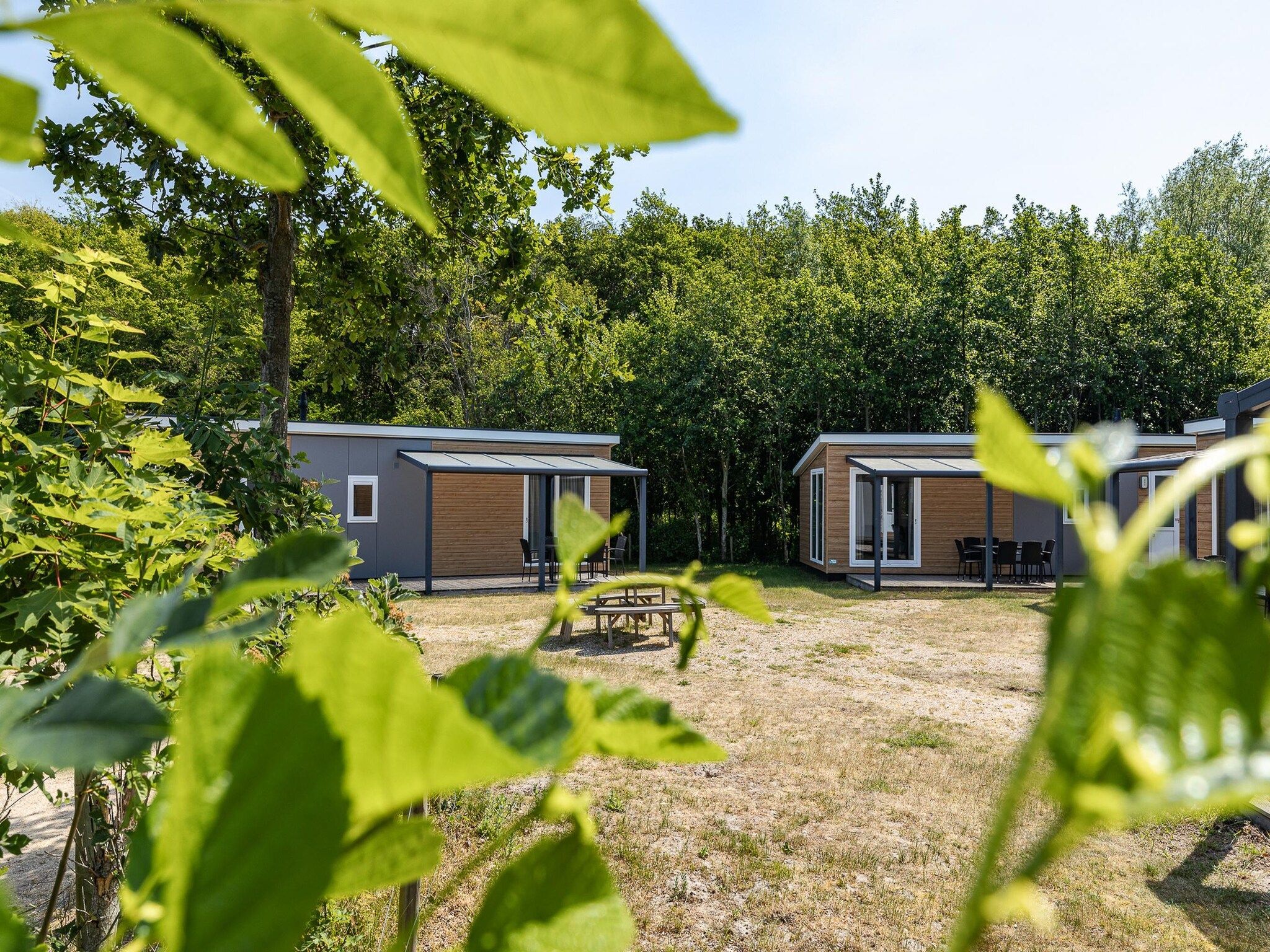 Duinhoeve Chalet Zeeland (huisdier toegestaan) in Burgh-Haamstede - Foto 36 van 39