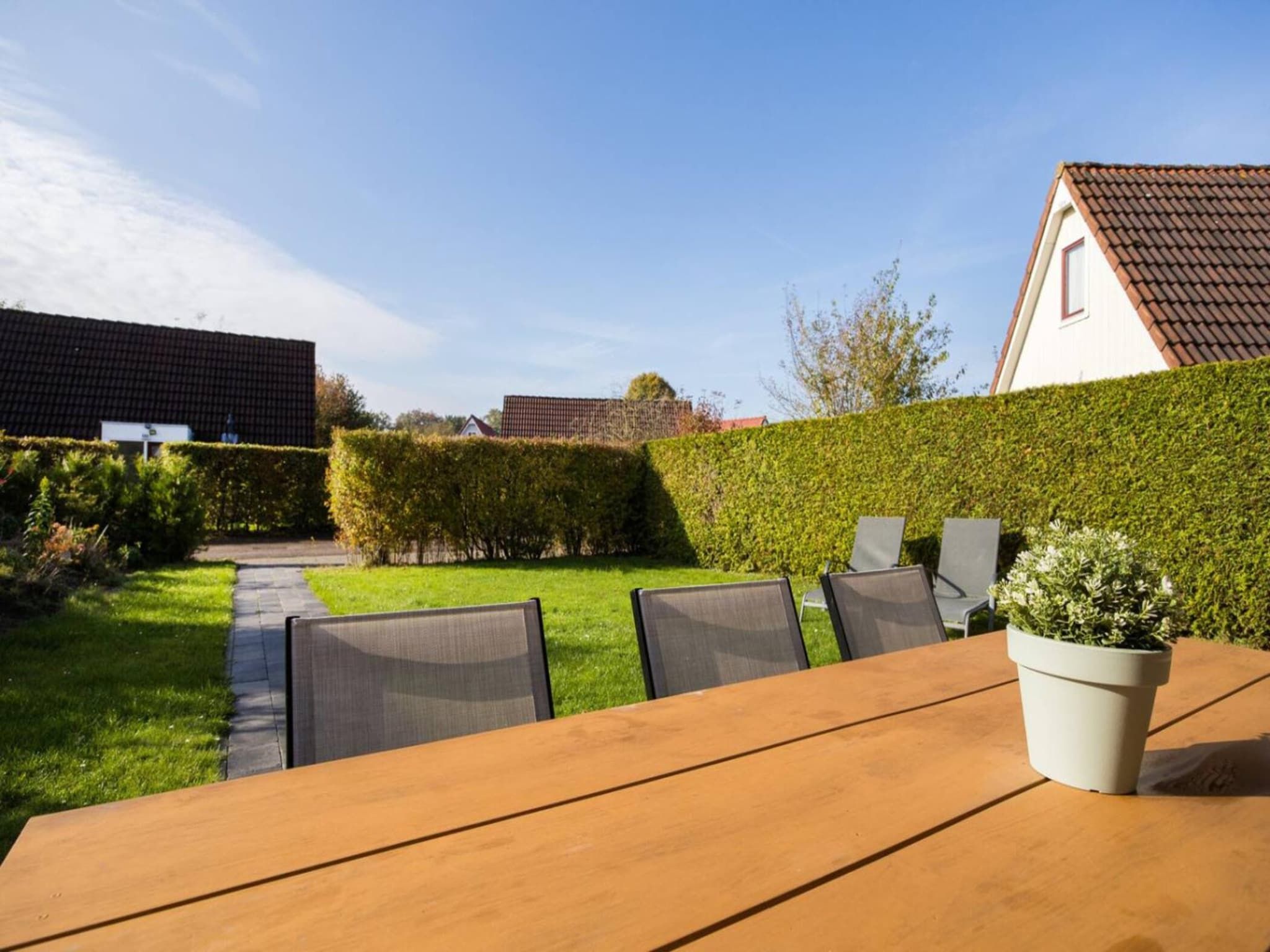 Het terras van 107 | Buizerd | Fijne bungalow met ruime tuin in Den Haag