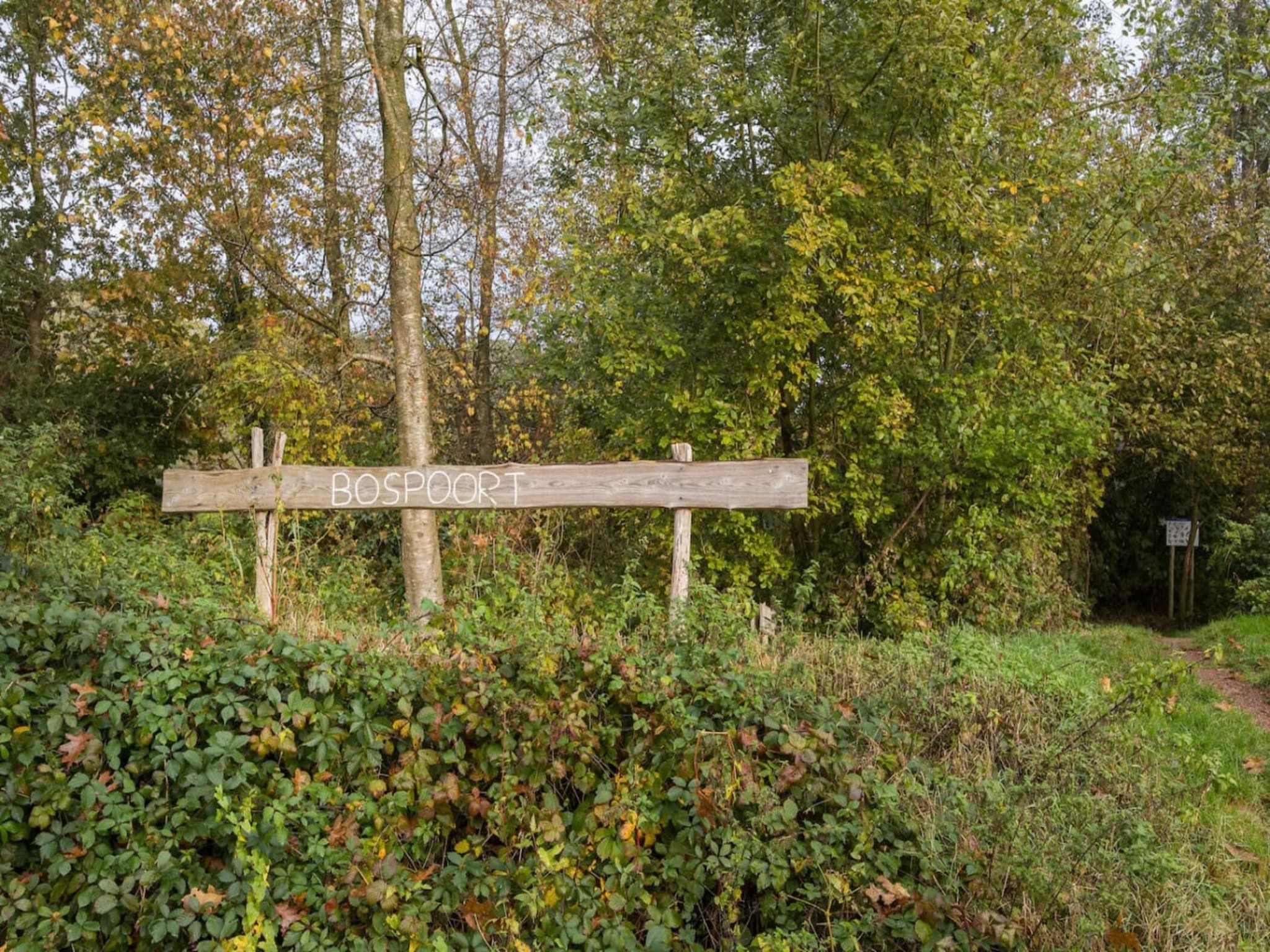 De omgeving van 118 | Rietzanger | Sfeervol ingerichte bungalow in Den Haag