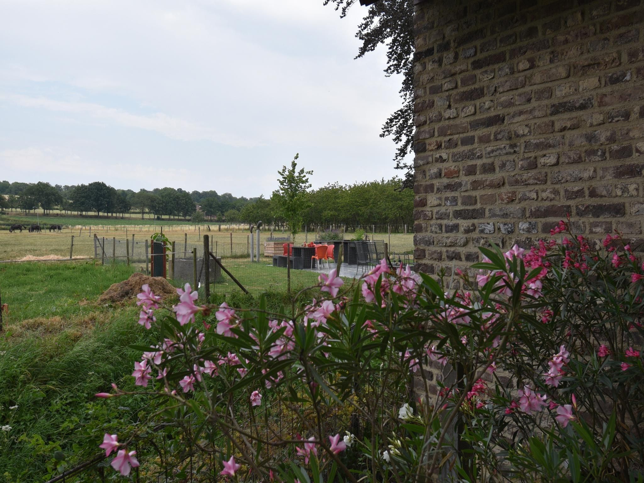 Het uitzicht vanaf Meschermolen 14 in Mesch-Eijsden