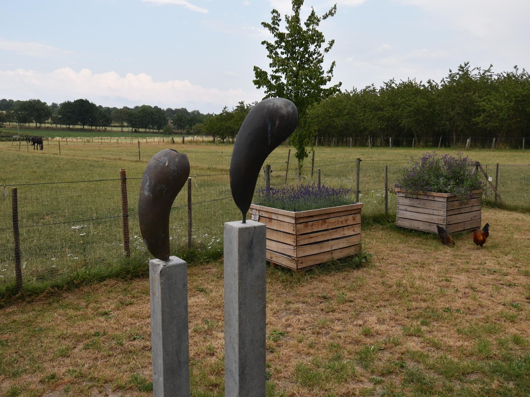 De tuin van Meschermolen 14 in Mesch-Eijsden
