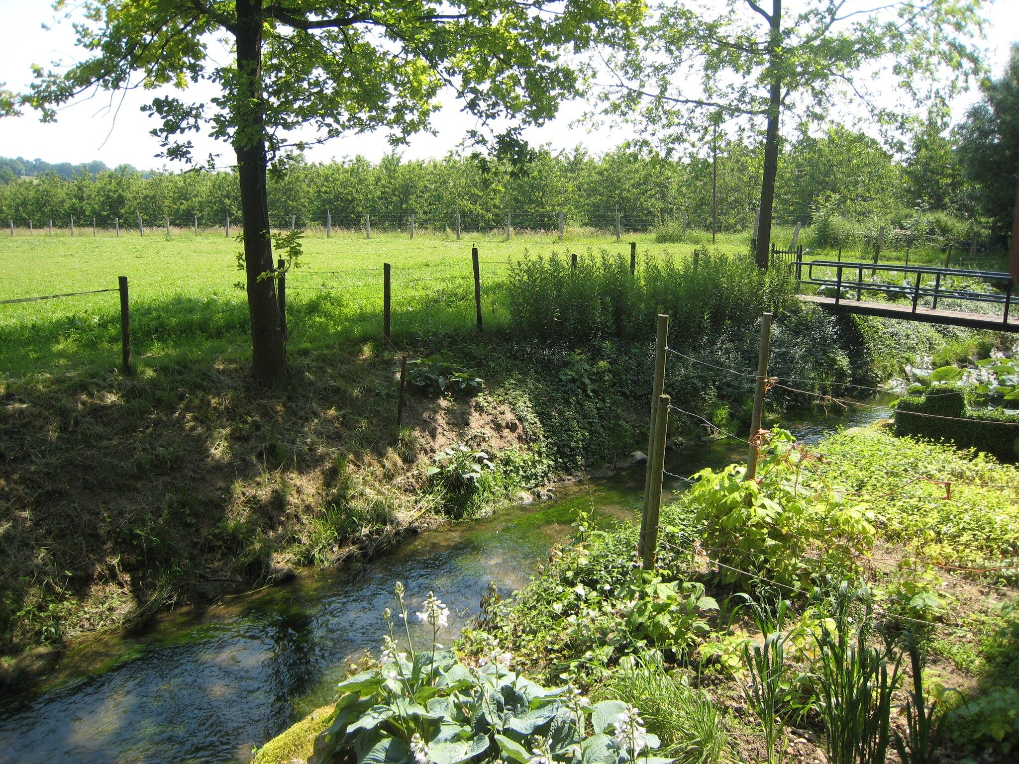Het uitzicht vanaf Meschermolen 5 in Mesch-Eijsden