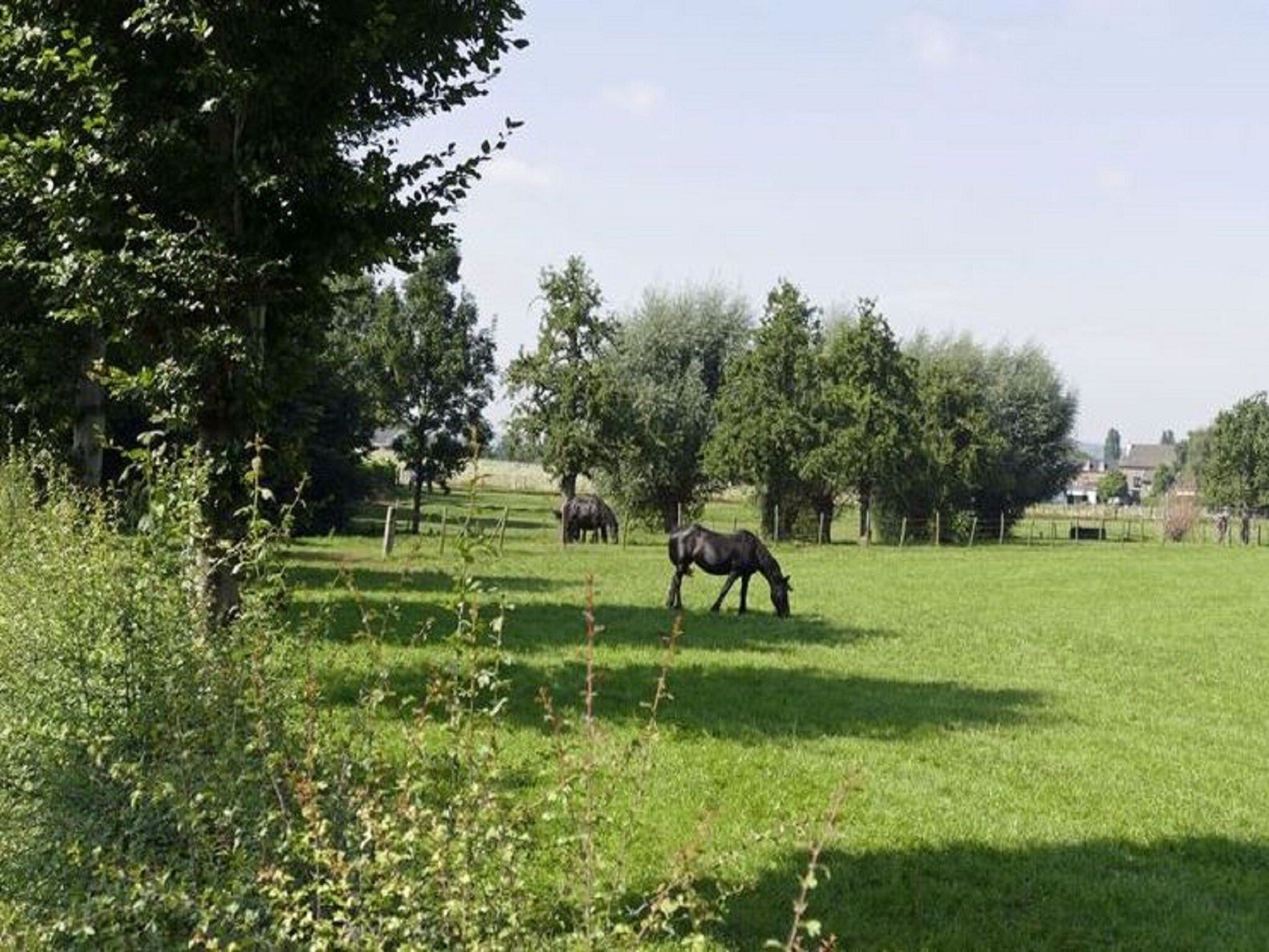 De tuin van Meschermolen 5 in Mesch-Eijsden