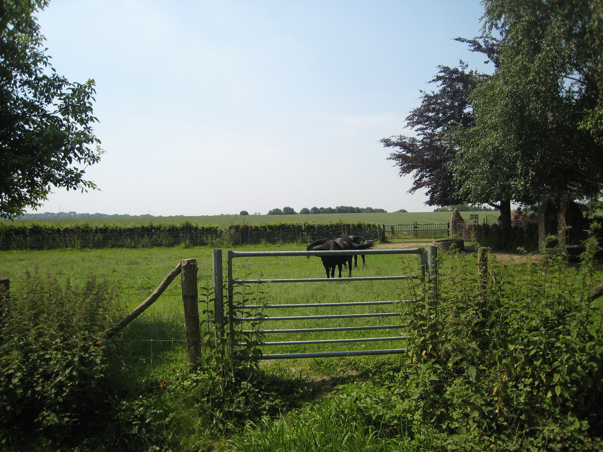 De tuin van Meschermolen 13 in Mesch-Eijsden