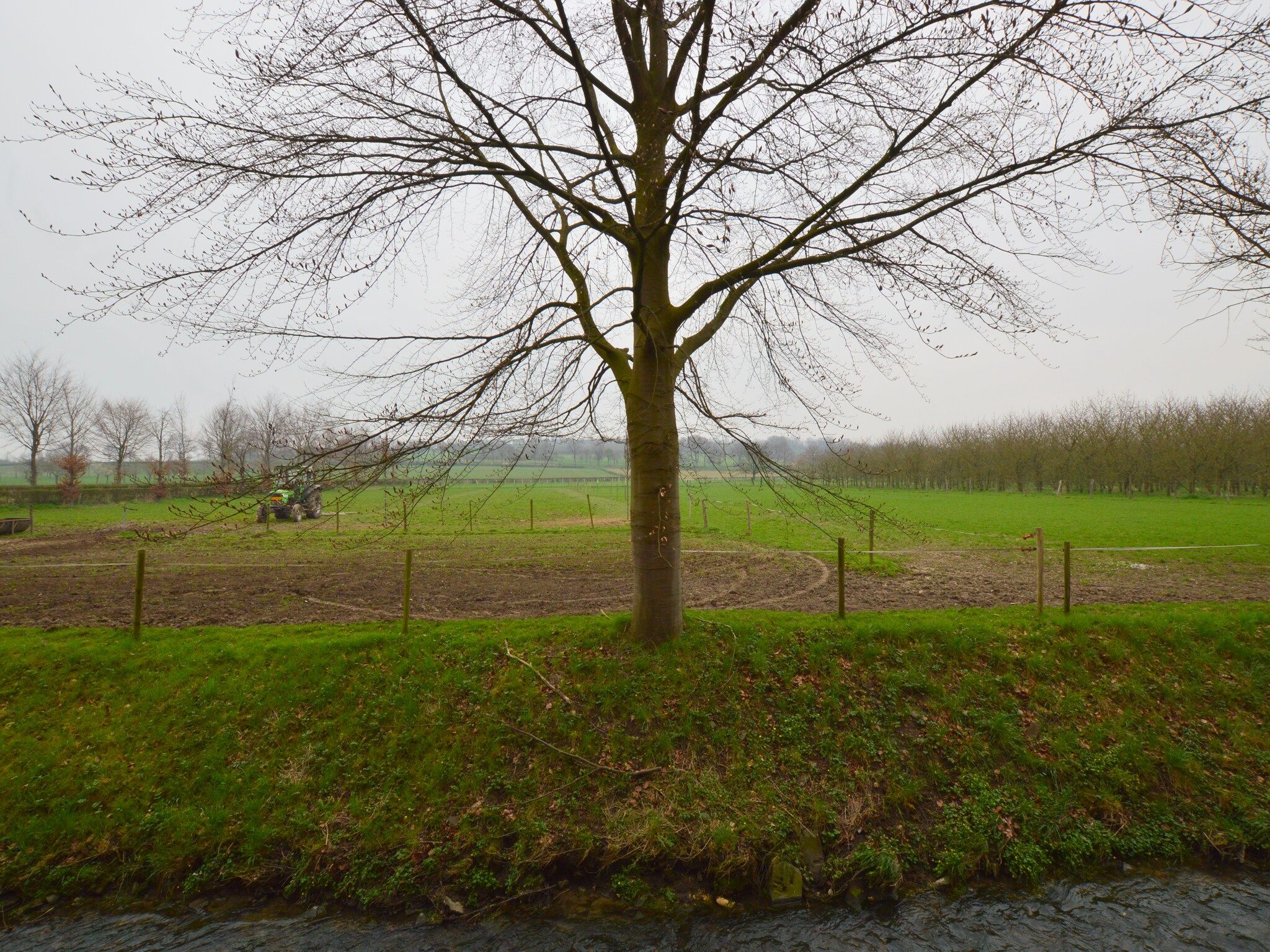 Het uitzicht vanaf Meschermolen 13 in Mesch-Eijsden