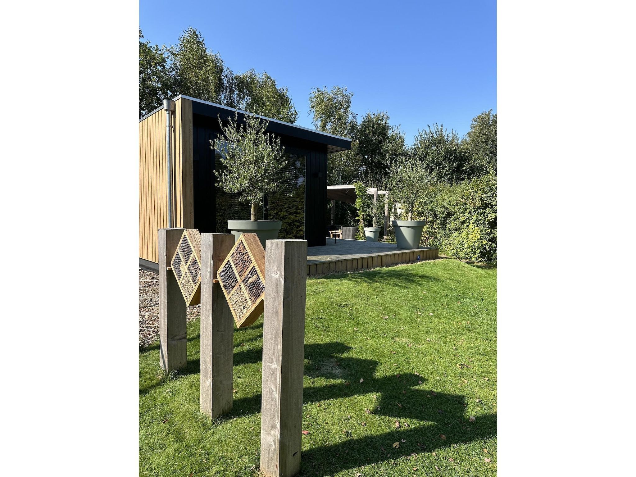 De buitenkant van Chalet de Blauwe regen in Balkbrug