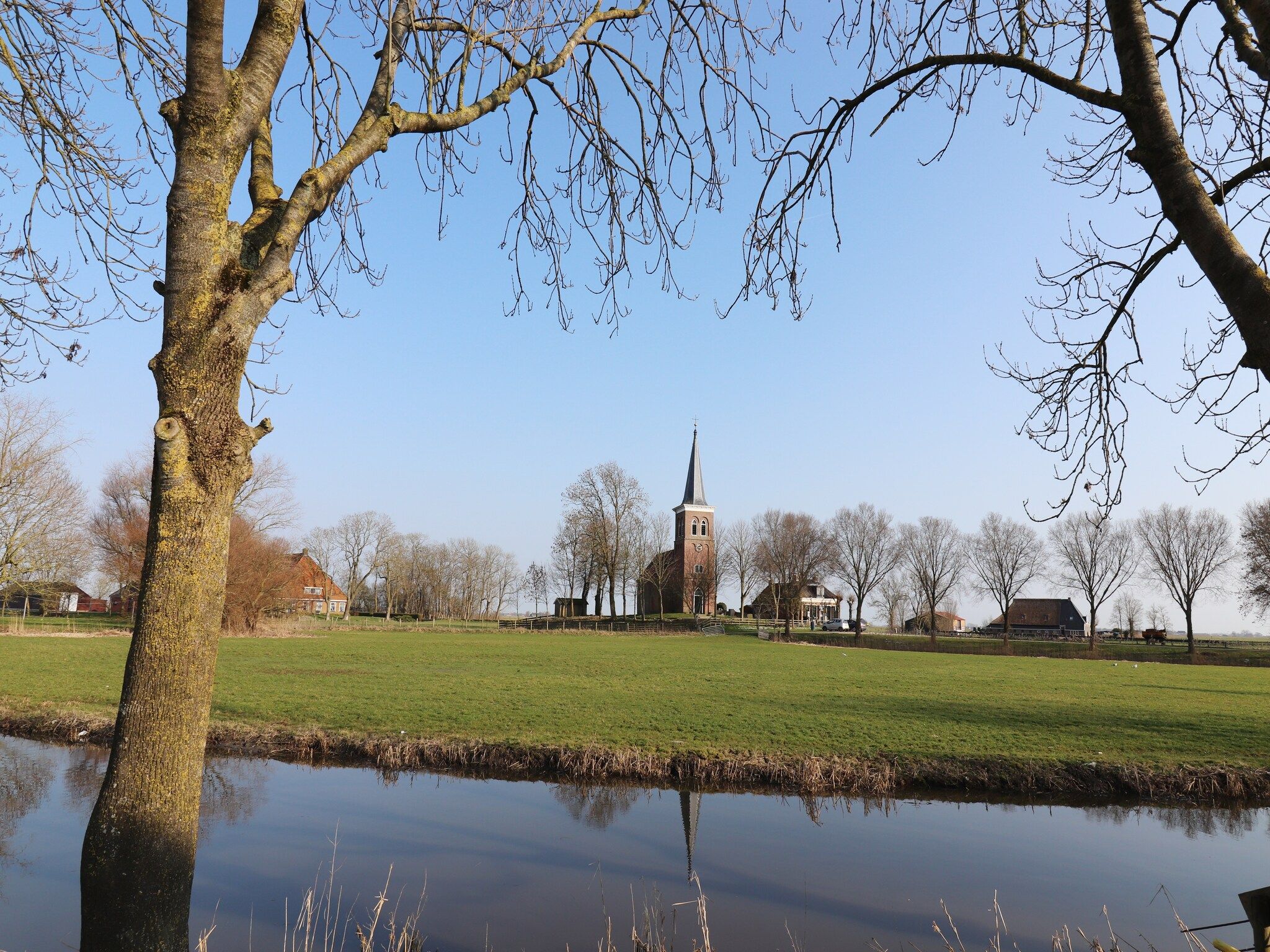 Het uitzicht vanaf Moderne villa op het Friese platteland in leons