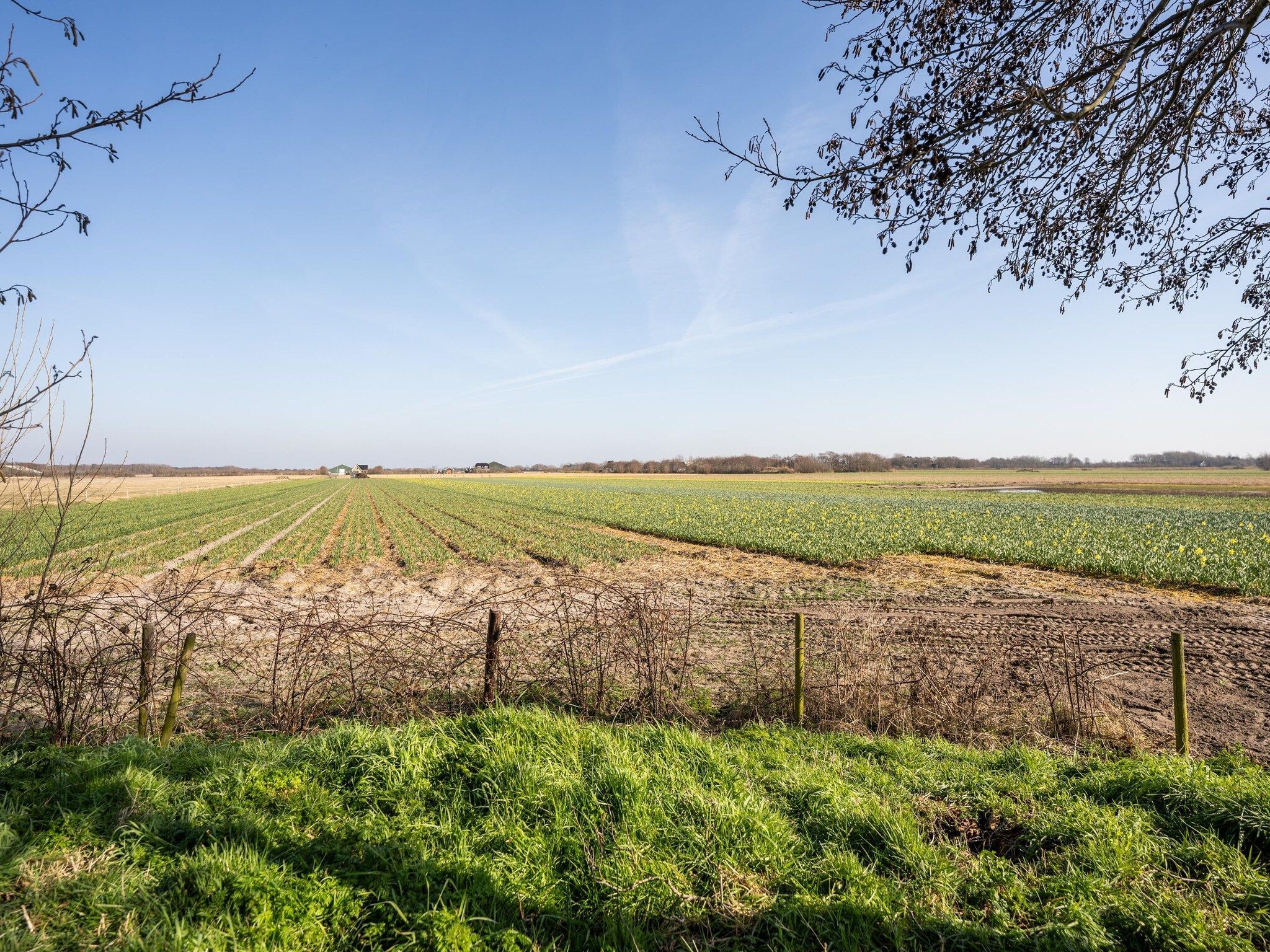 De tuin van Mienterbos-Duinglop in De Koog