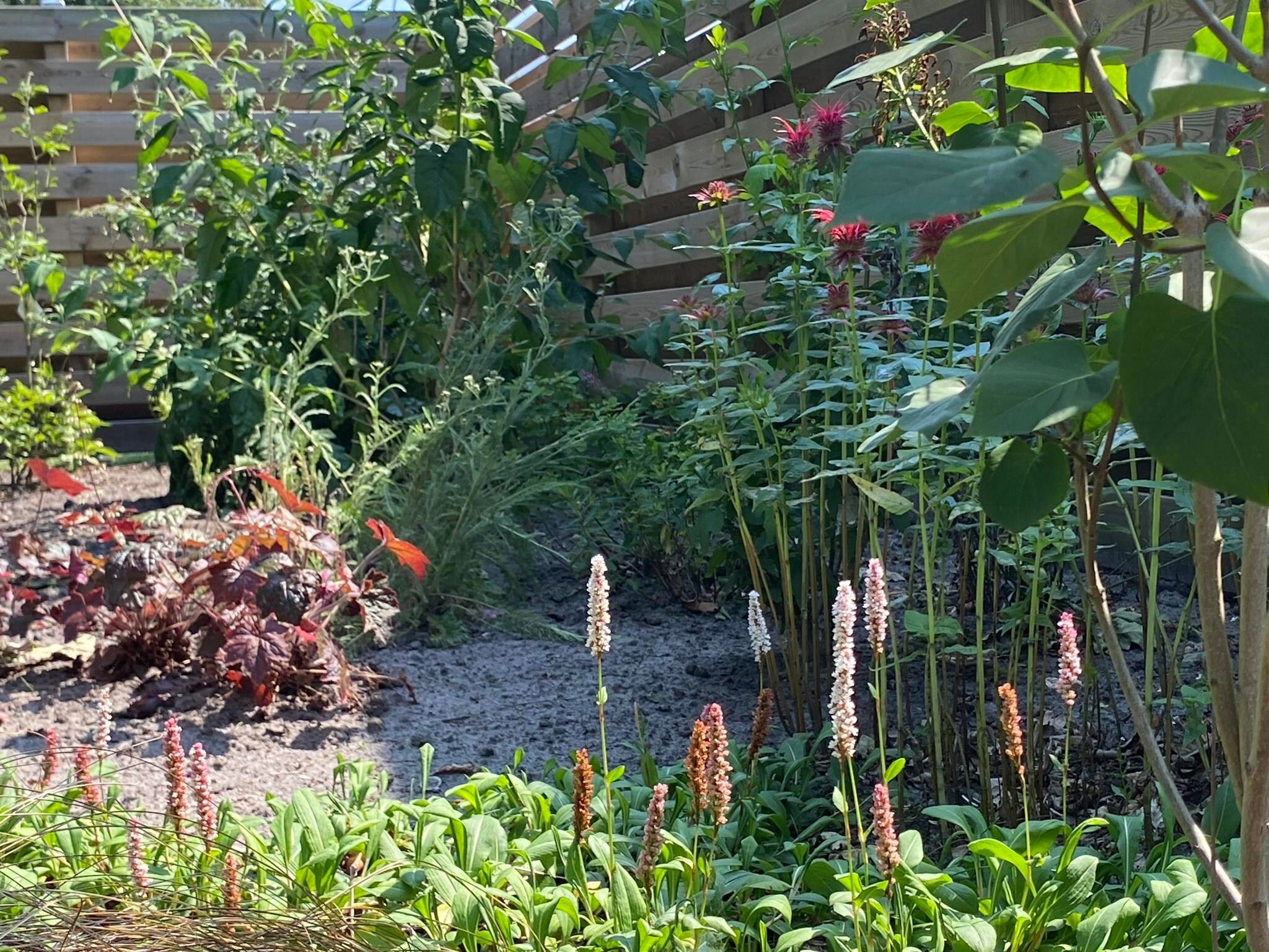 De tuin van De Groninger Zeeuw in Bellingwolde