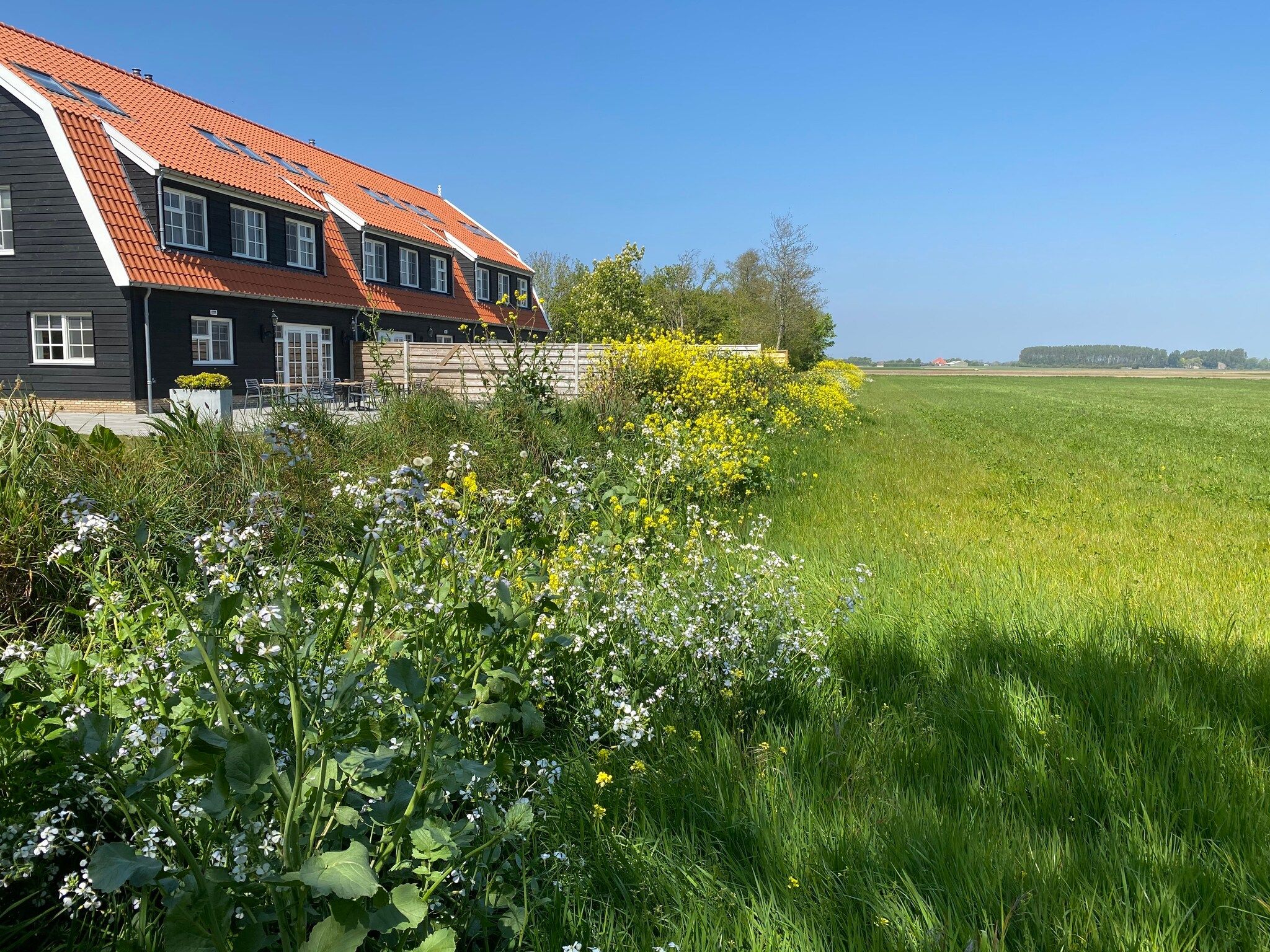 Duynweelde Texel in Den Burg - Foto 33 van 43