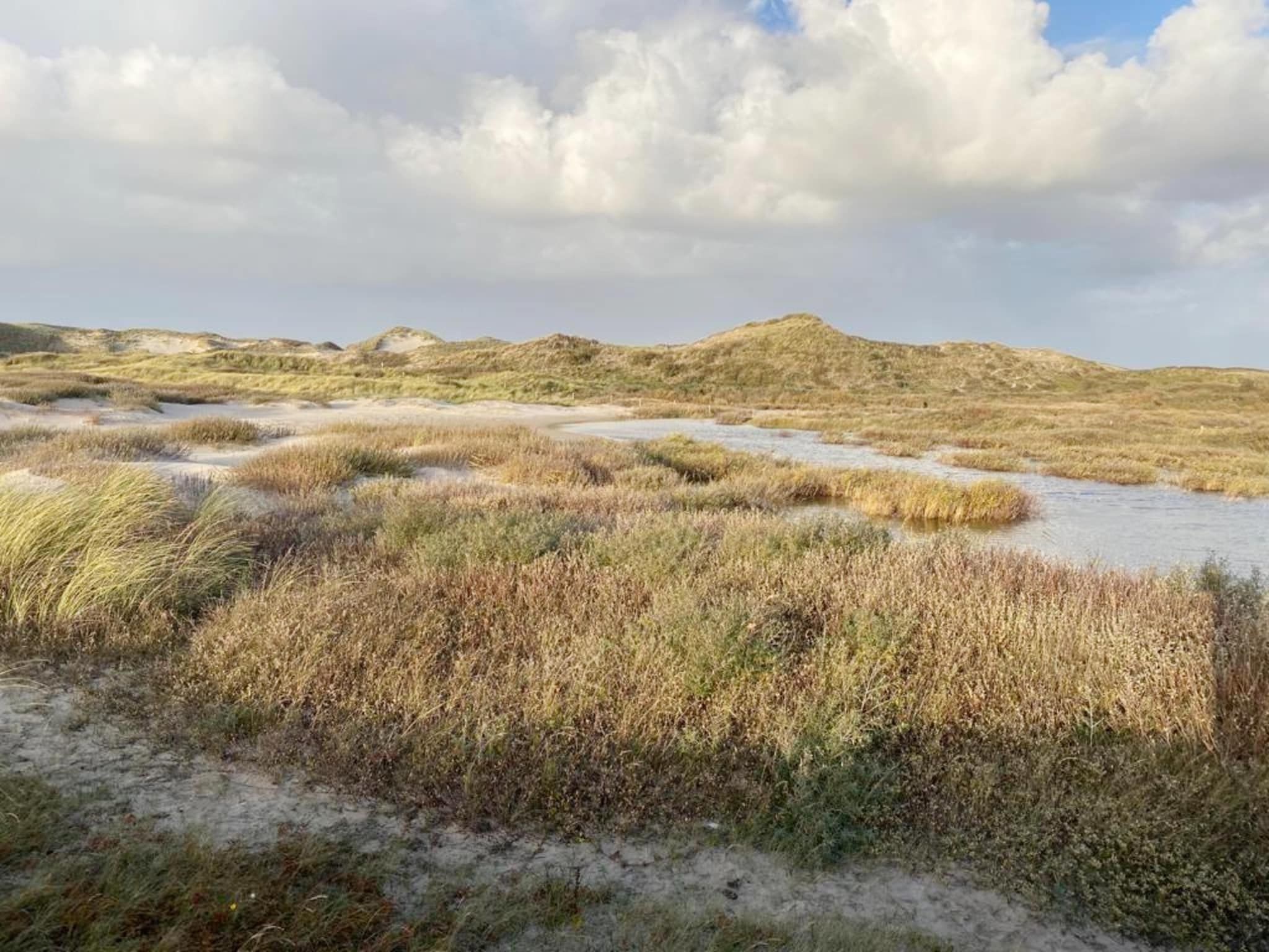 De omgeving van Slapen aan Zee Sint Maarten - 78 in Sint Maarten