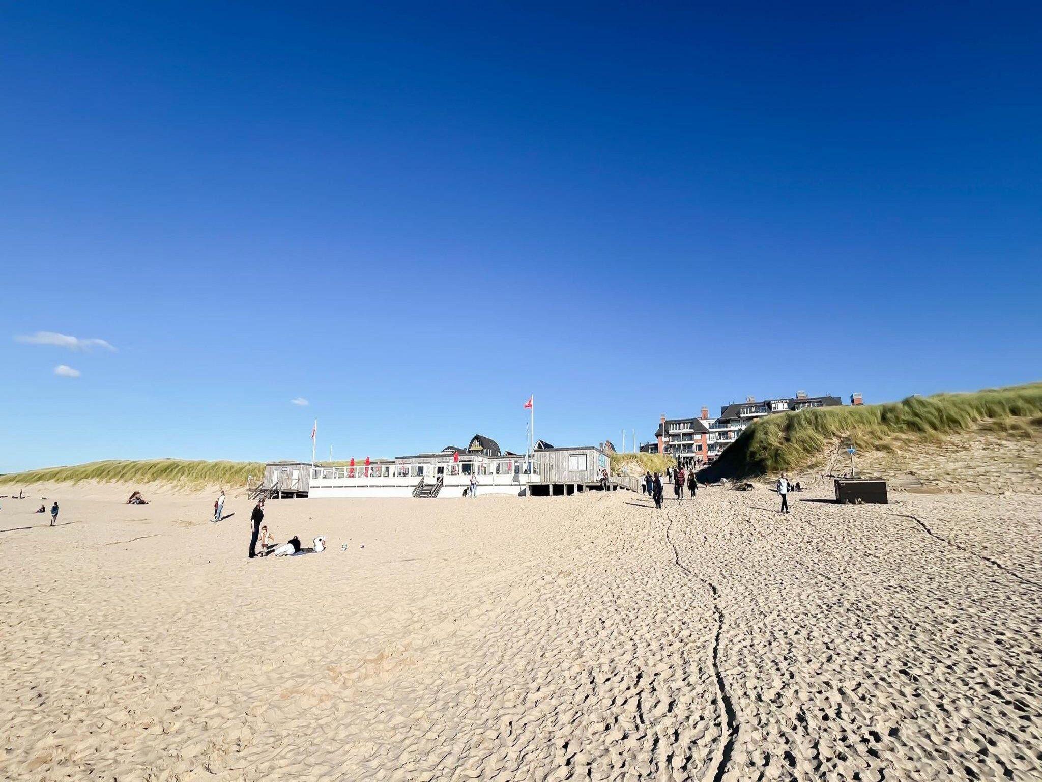 De omgeving van Sterrenlicht in Egmond aan Zee