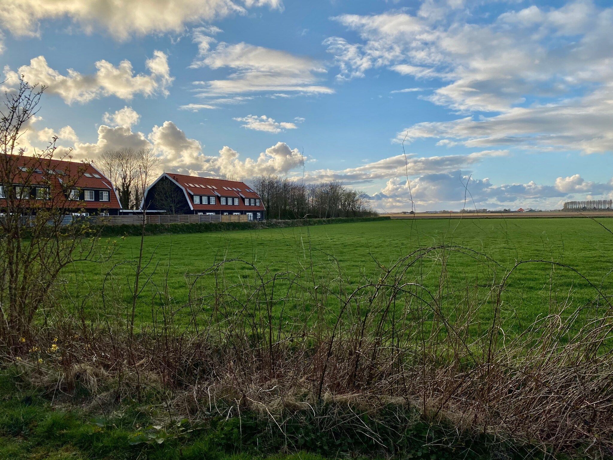 Waddenweelde Texel in Den Burg - Foto 41 van 47