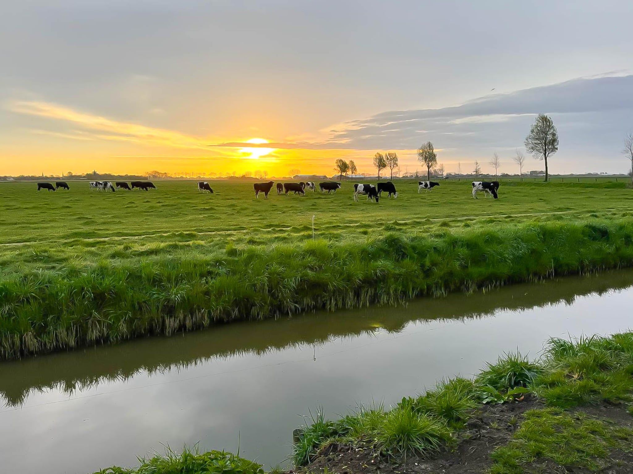 De omgeving van Zon in de duinen - 33 in Sint Maarten