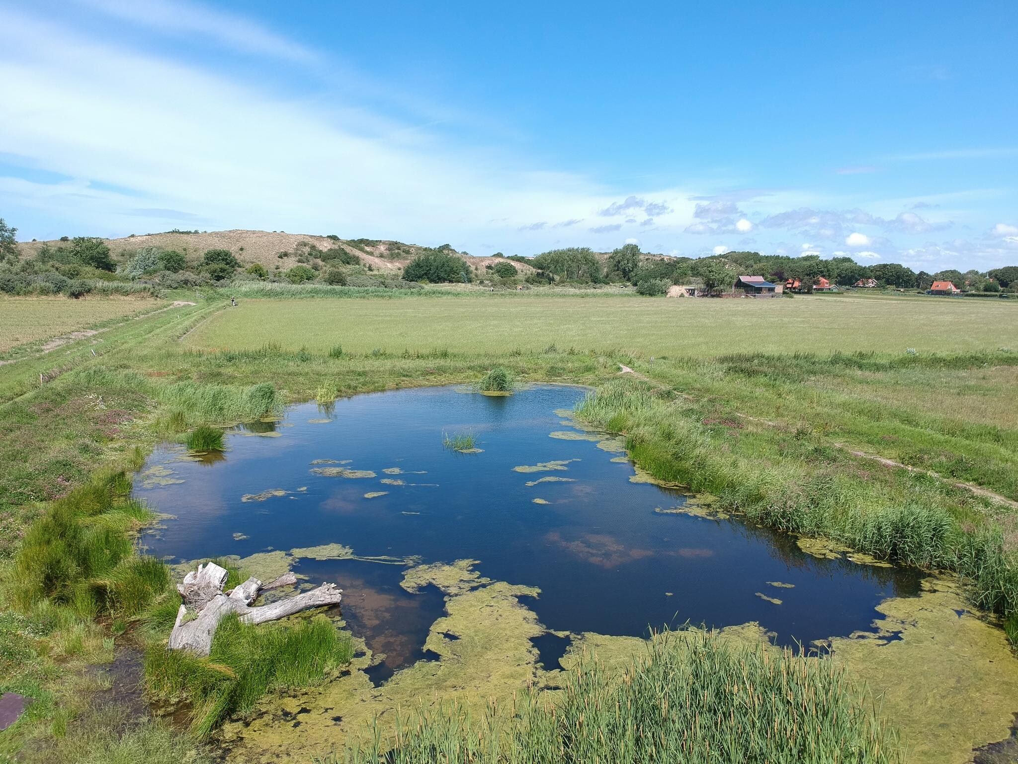 De omgeving van Zonnestralen in Egmond aan den Hoef