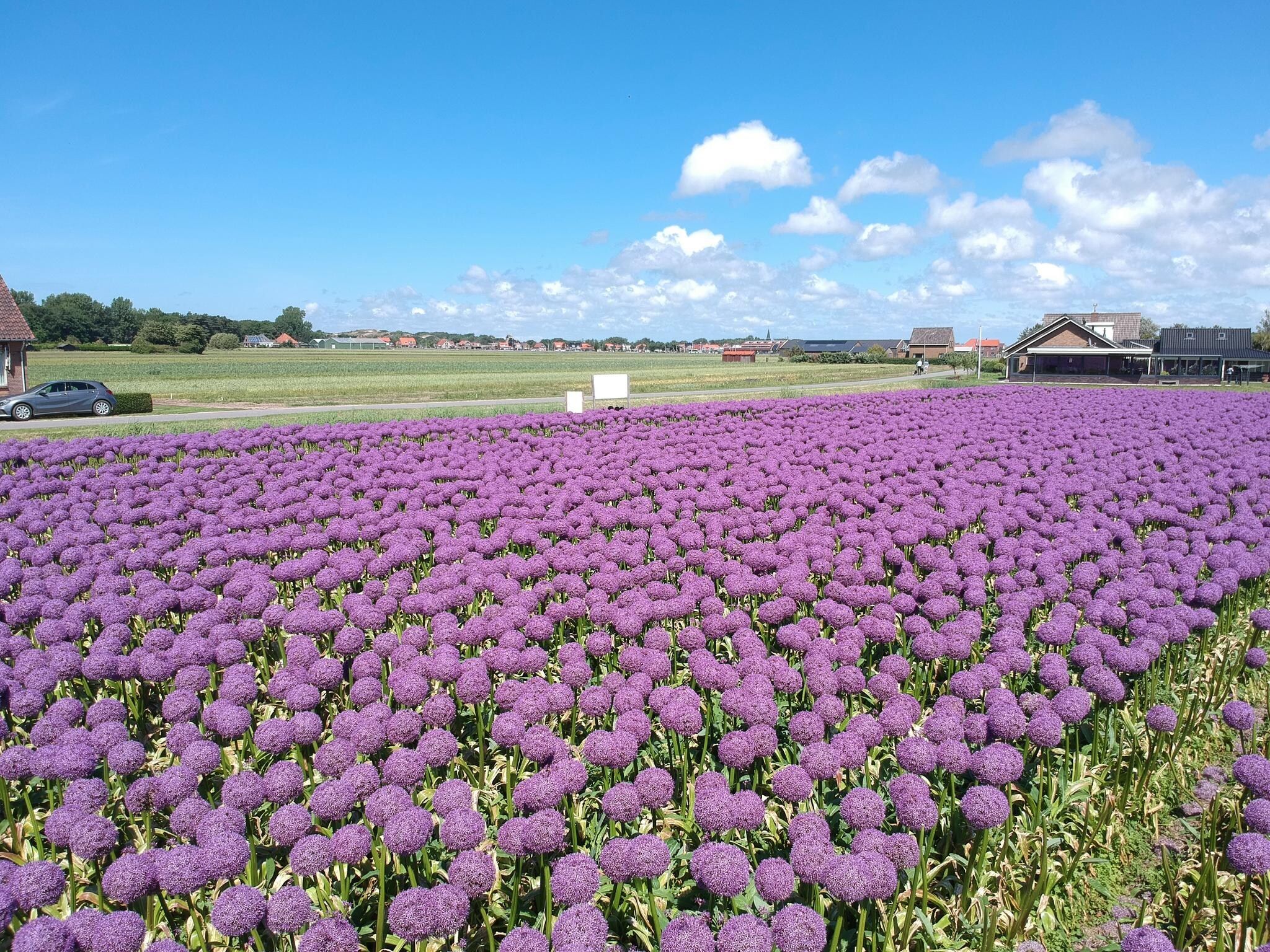 De omgeving van Zonnestralen in Egmond aan den Hoef