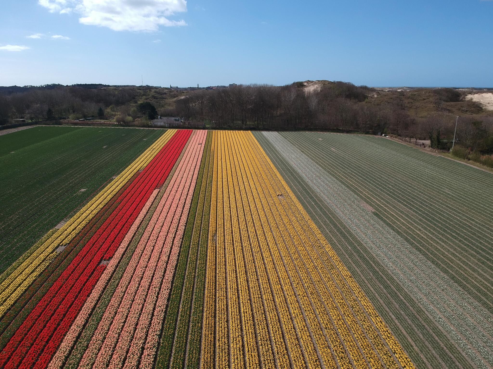 De omgeving van Zonnestralen in Egmond aan den Hoef