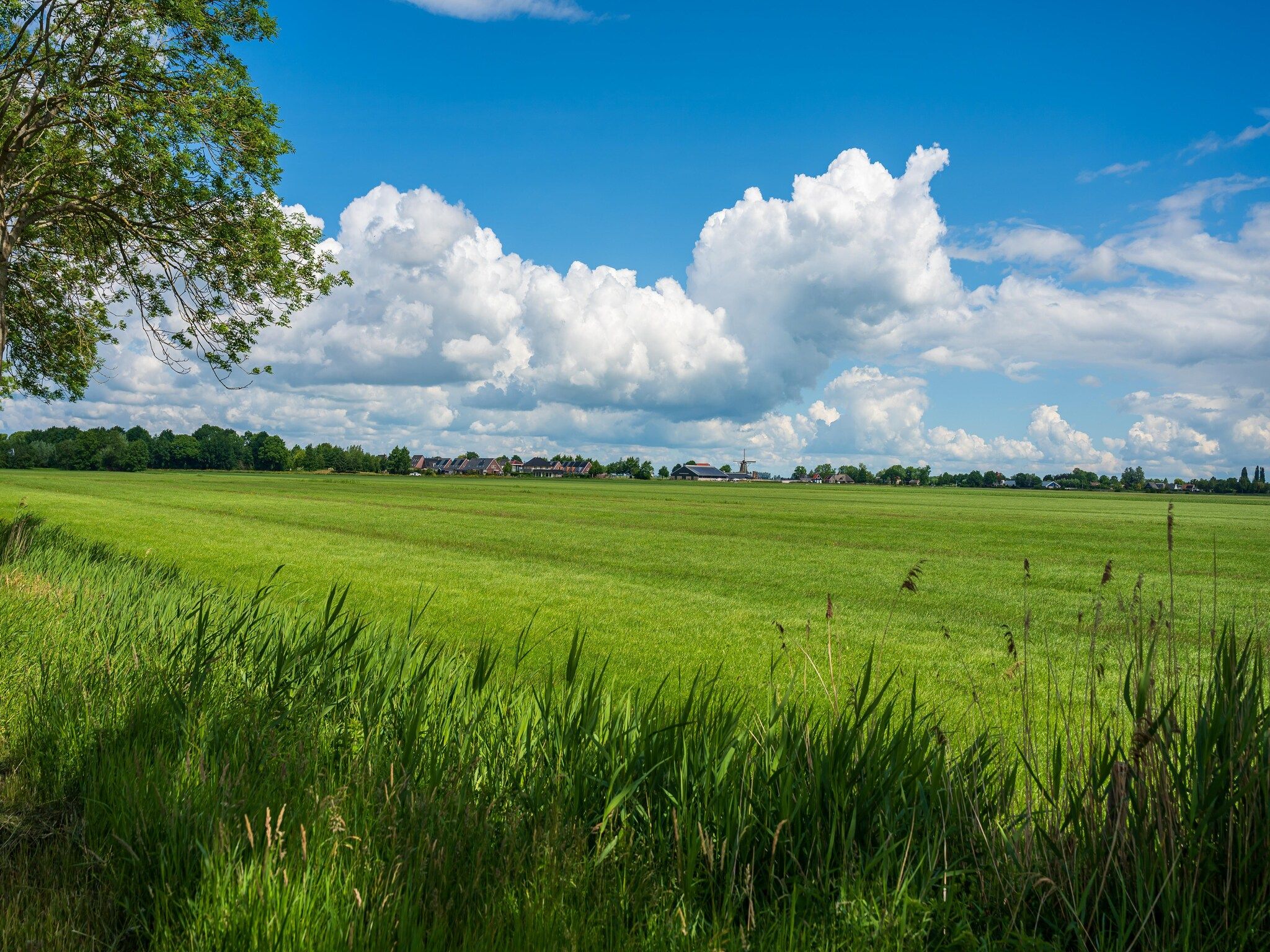 De Stevenshoek in Langweer - Foto 49 van 49