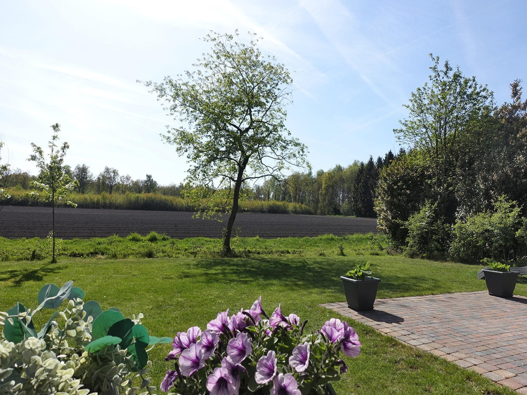 De tuin van Vechtdalchalet de Wilg in Rheezerveen