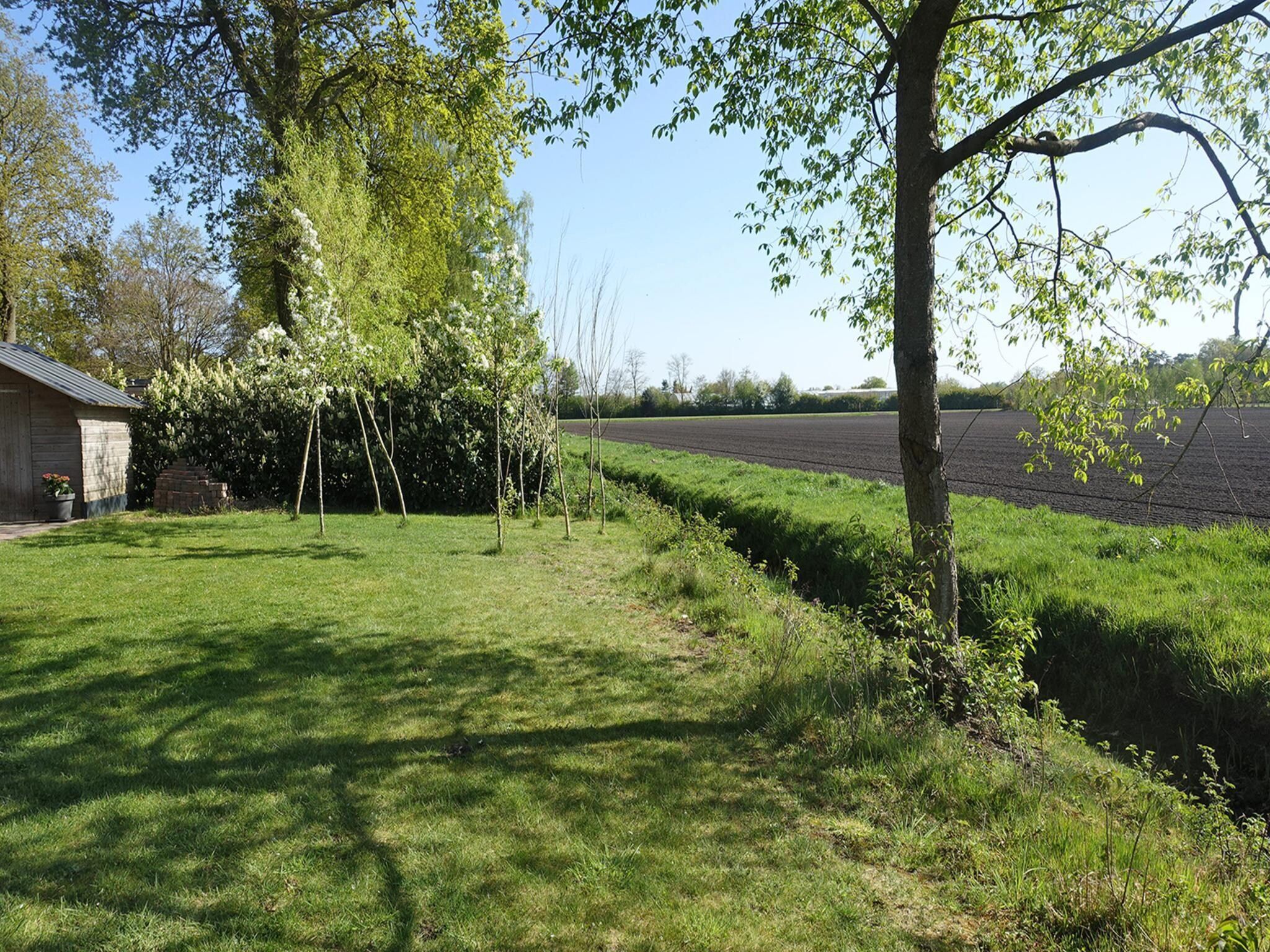 De tuin van Vechtdalchalet de Wilg in Rheezerveen