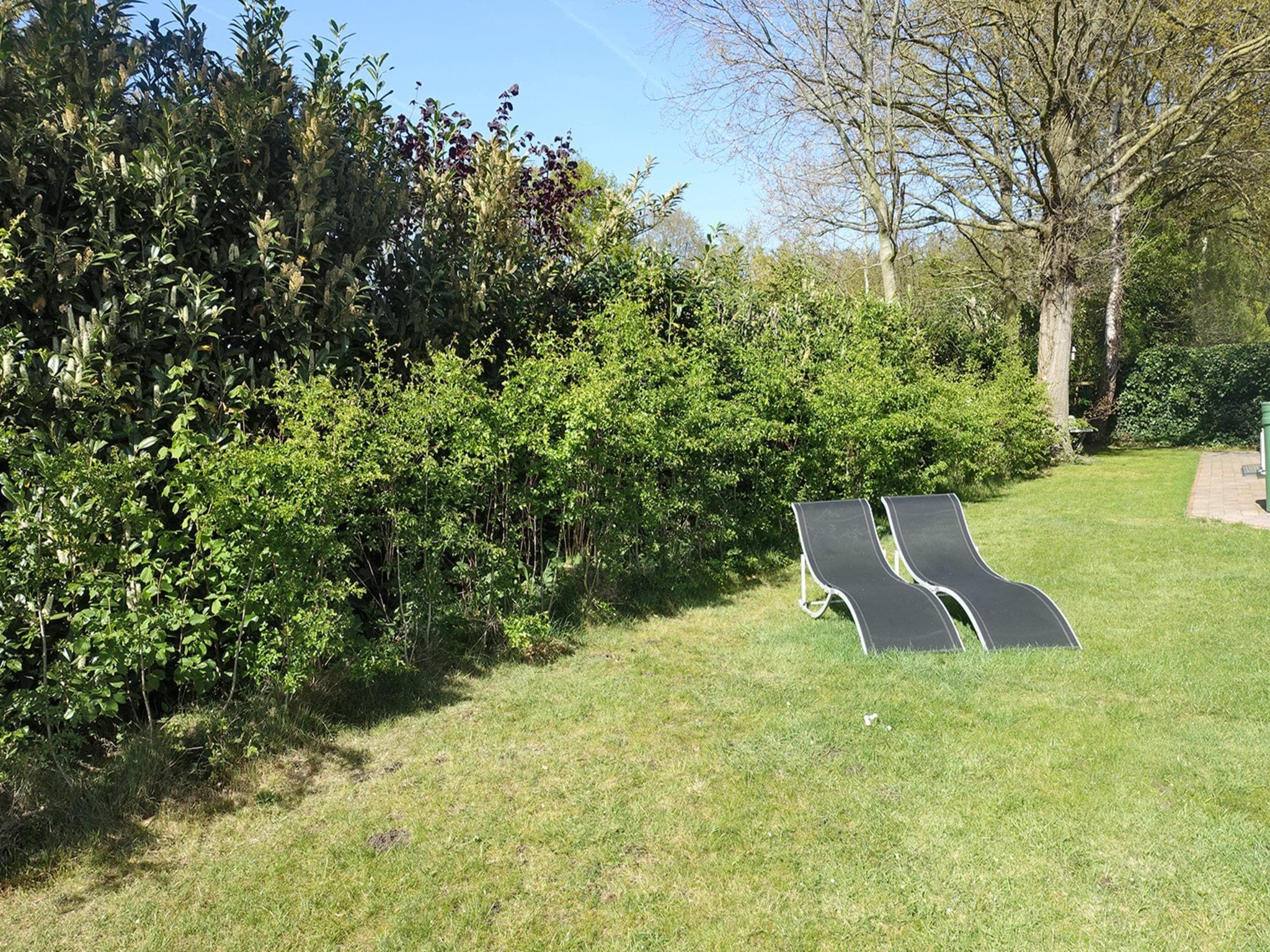 De tuin van Vechtdalchalet de Wilg in Rheezerveen