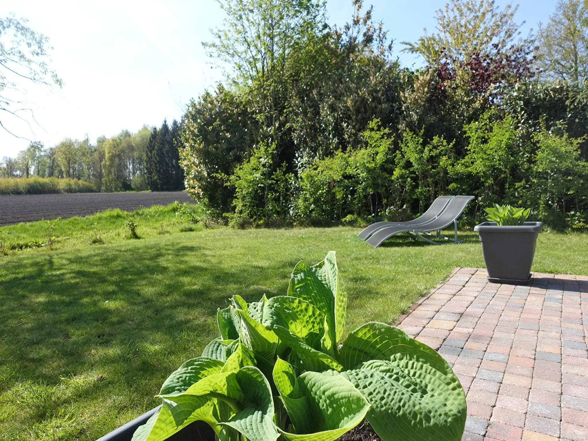 De tuin van Vechtdalchalet de Wilg in Rheezerveen