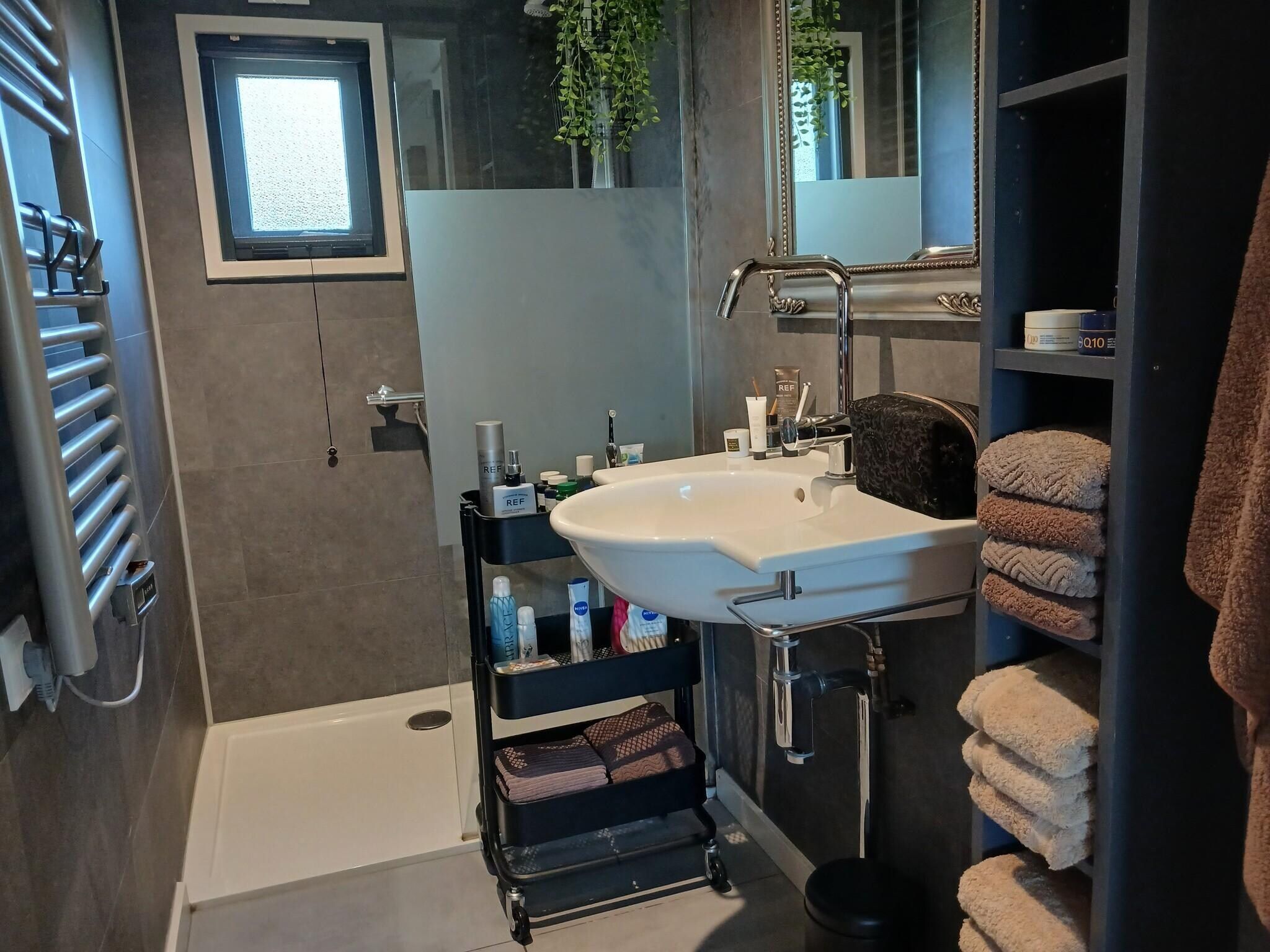 De badkamer van Vechtdalchalet de Wilg in Rheezerveen