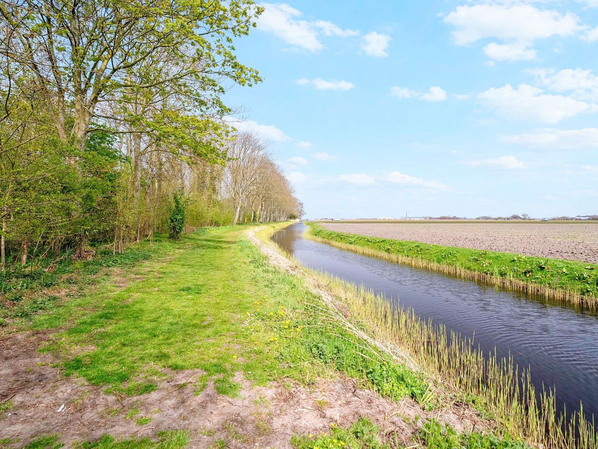 De omgeving van Duinland 118 in Sint Maartensvlotbrug