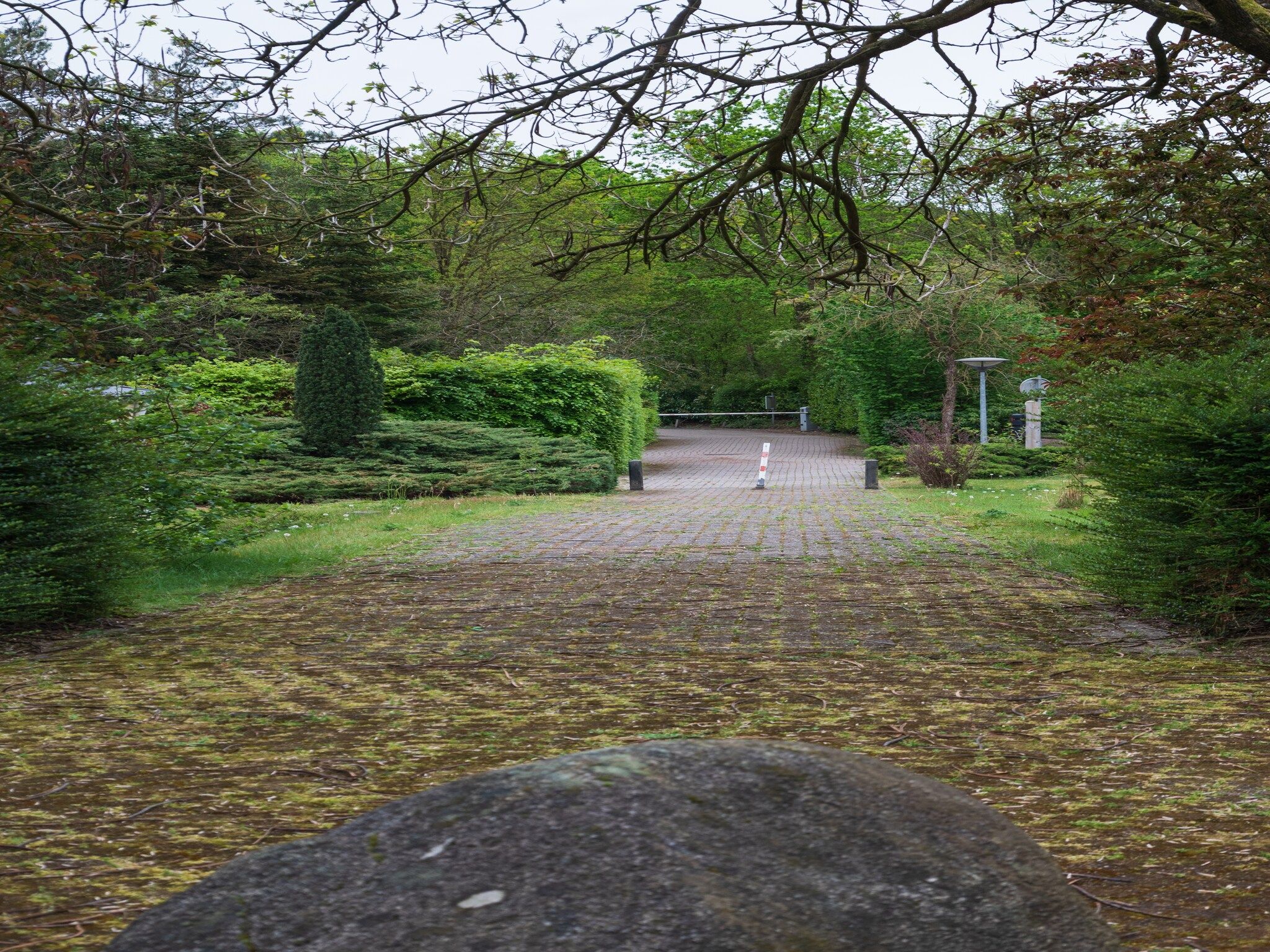 Vakantie home Coevorderweg in Stegeren - Foto 36 van 38