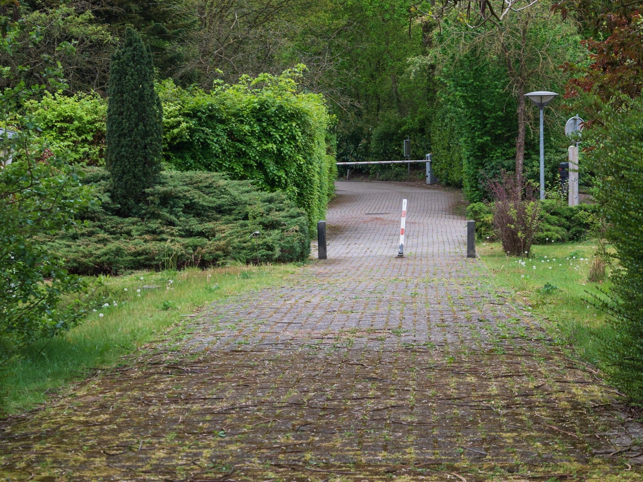 De tuin van Vakantie home Coevorderweg in Stegeren