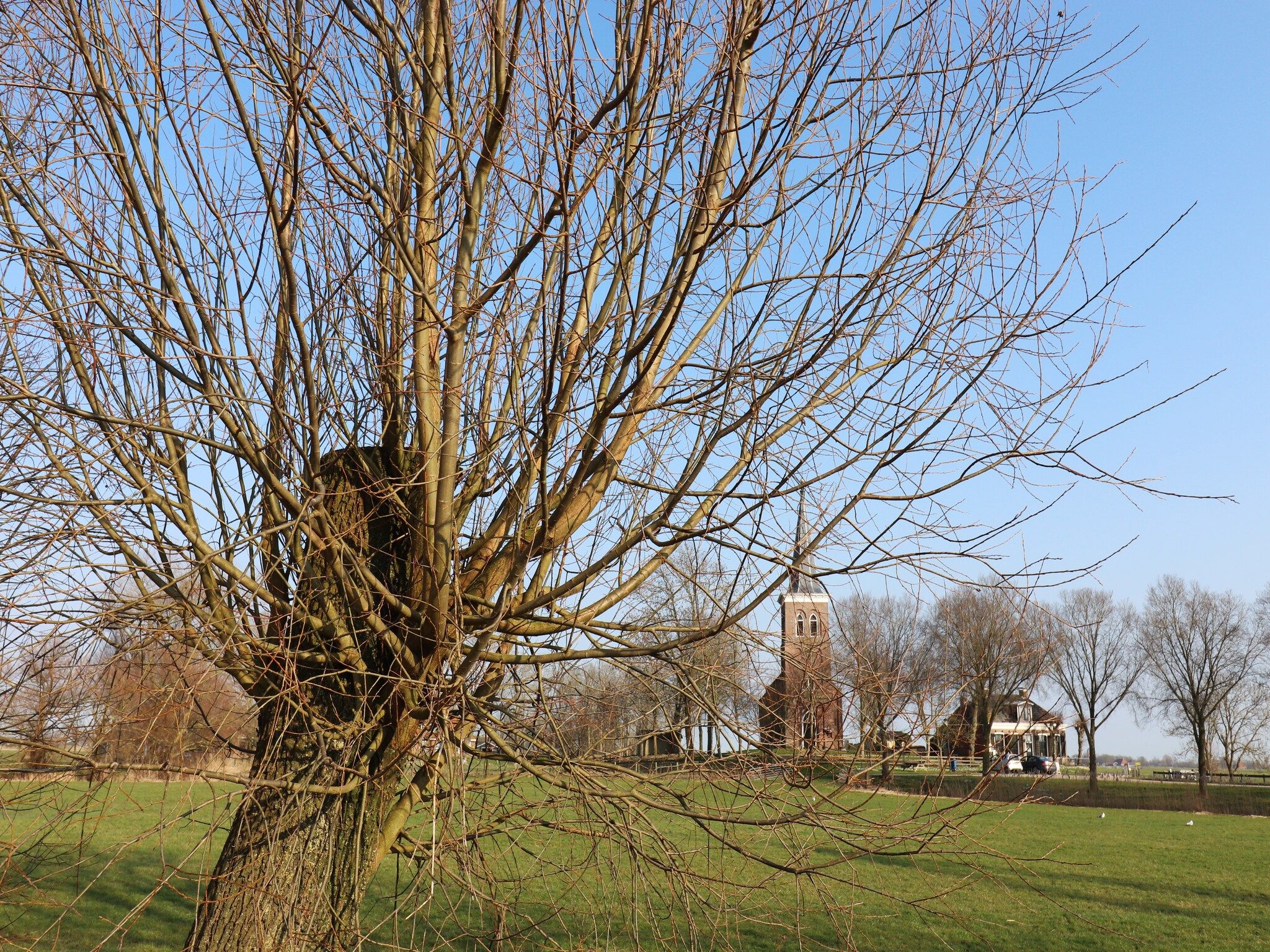 Het uitzicht vanaf Moderne villa op het Friese platteland in leons