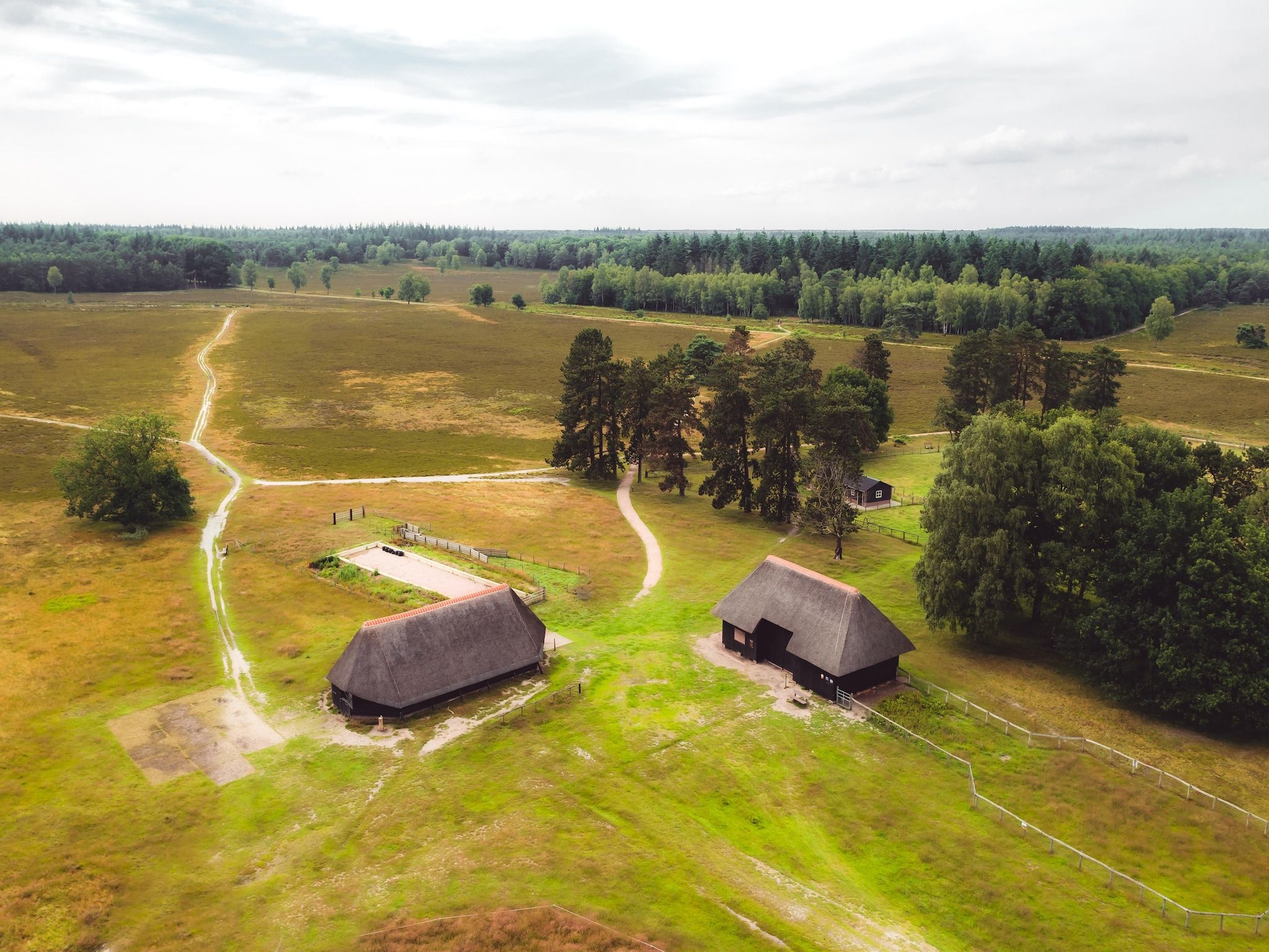 De omgeving van Bospark de Schaapskooi 8 in Wissel/Epe