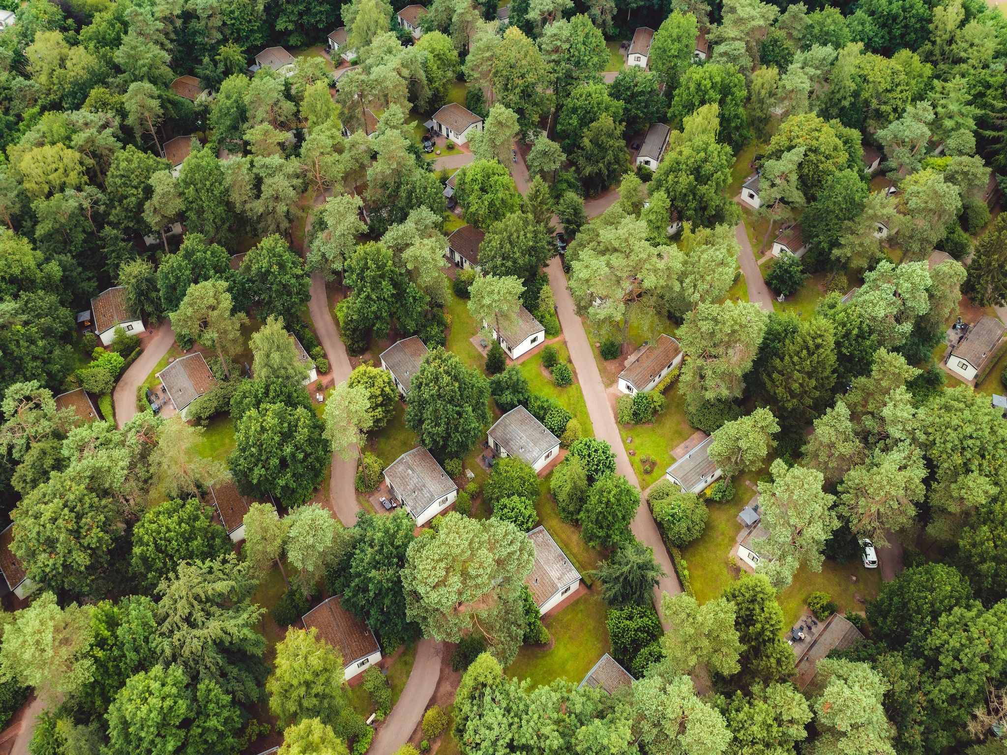 Parkfaciliteiten bij Bospark de Schaapskooi 8 in Wissel/Epe