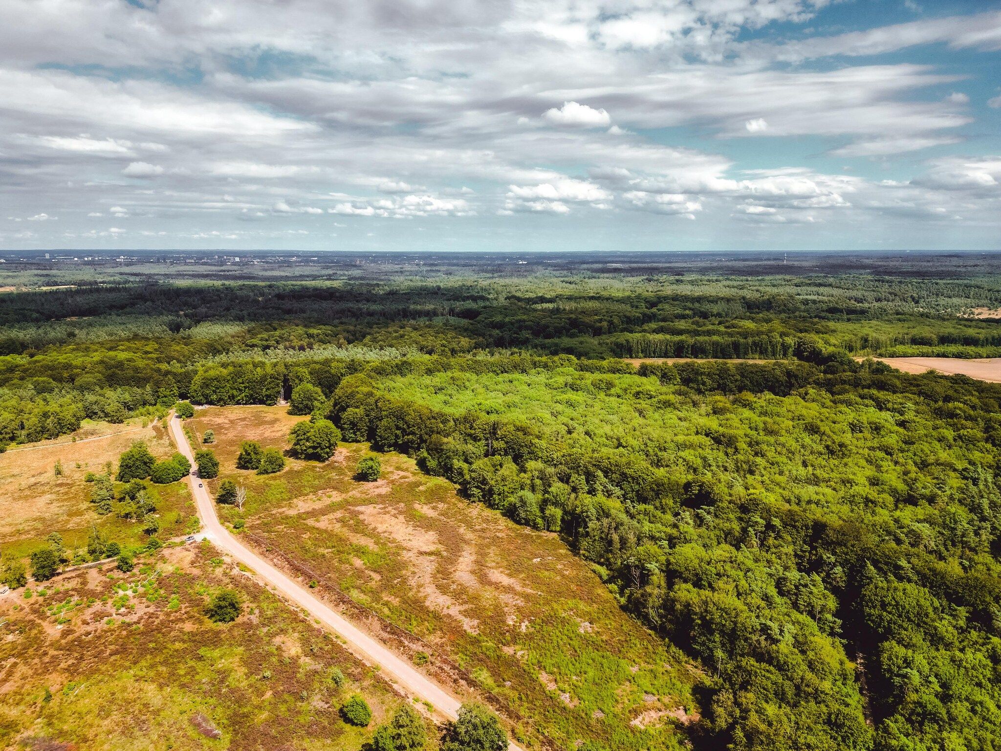 De omgeving van Bospark de Schaapskooi 5 in Wissel/Epe