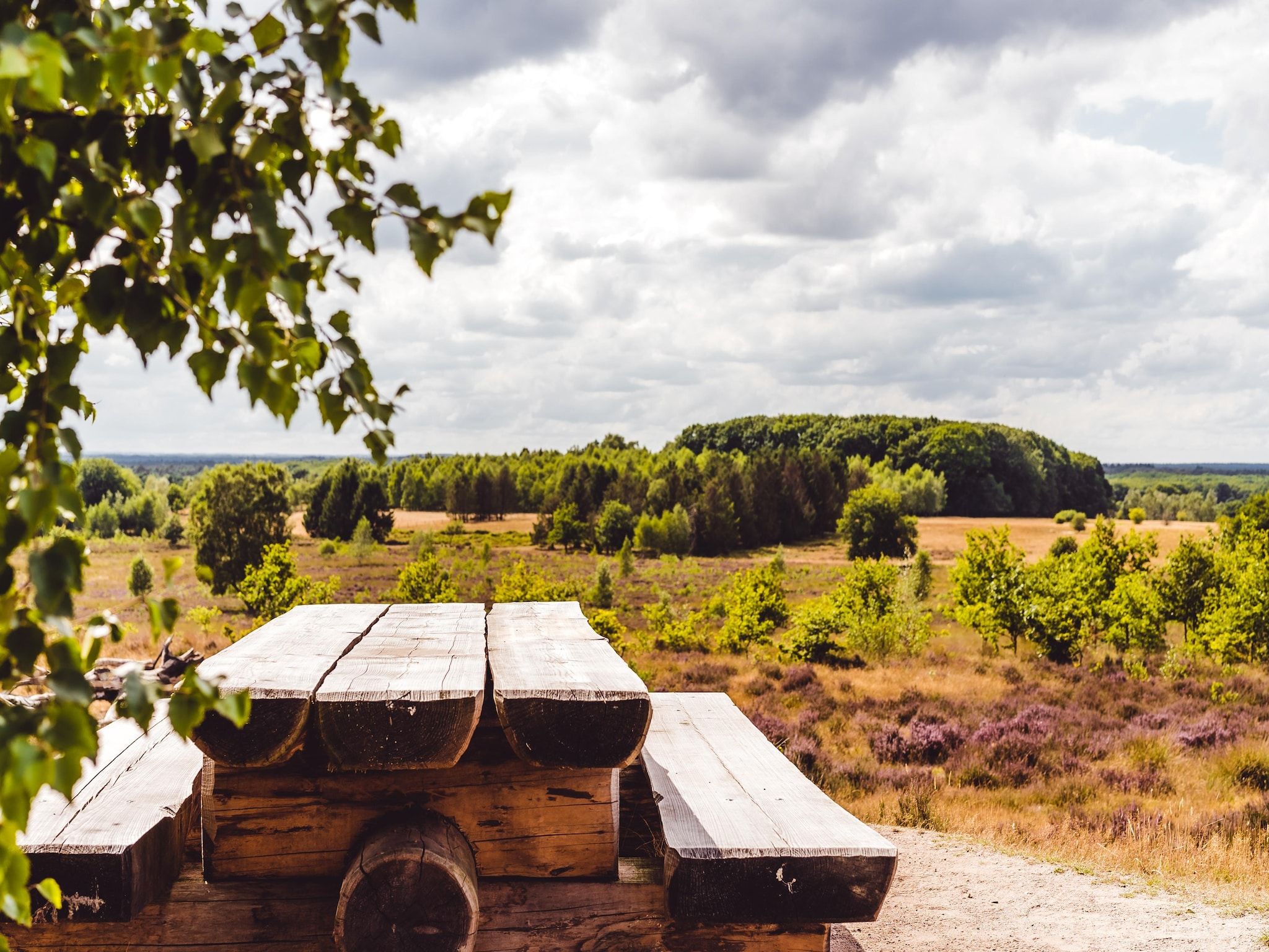 De omgeving van Bospark de Schaapskooi 5 in Wissel/Epe