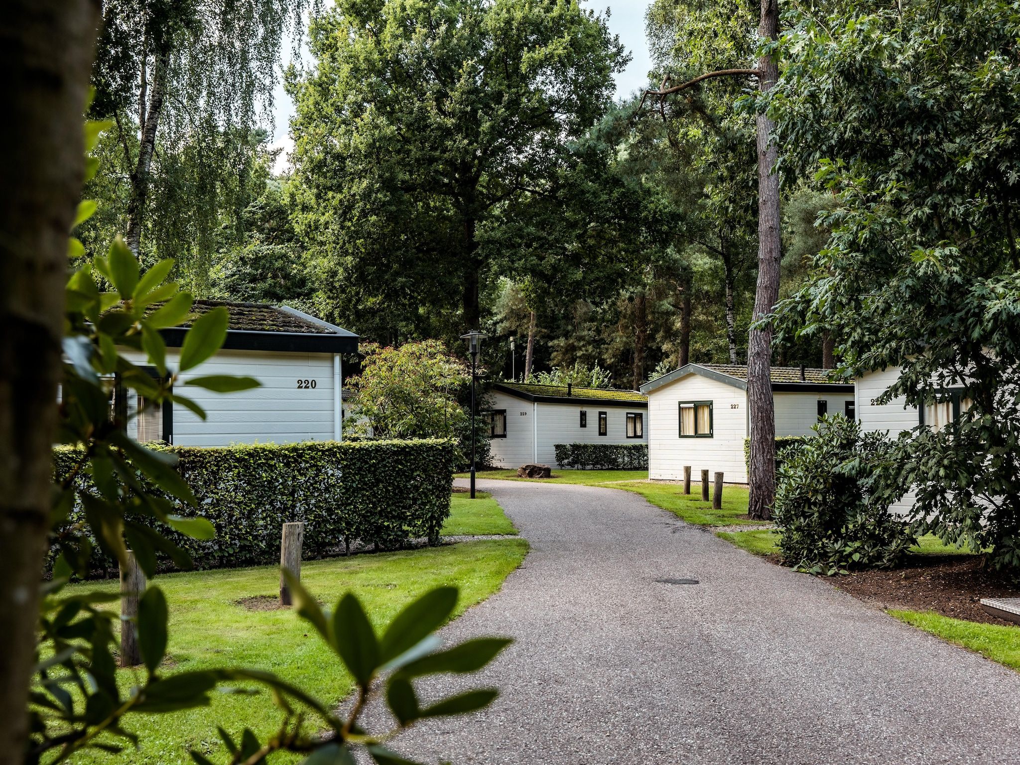 Parkfaciliteiten bij Bospark de Schaapskooi 5 in Wissel/Epe