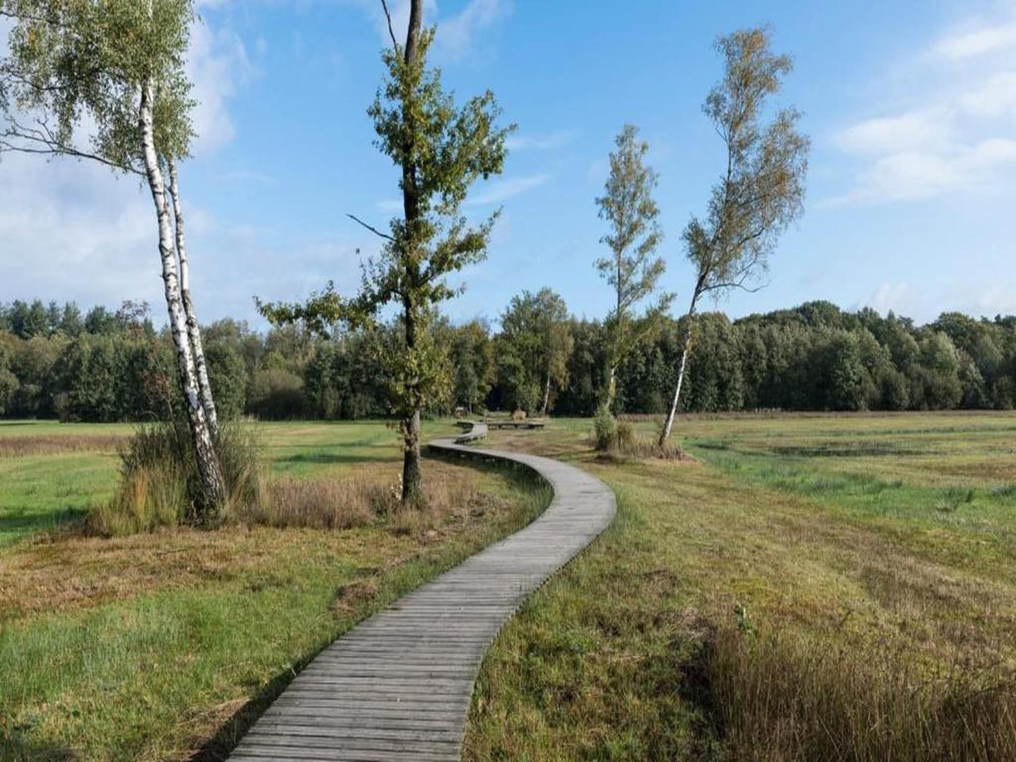 Bospark de Schaapskooi 5 in Wissel/Epe - Foto 34 van 39