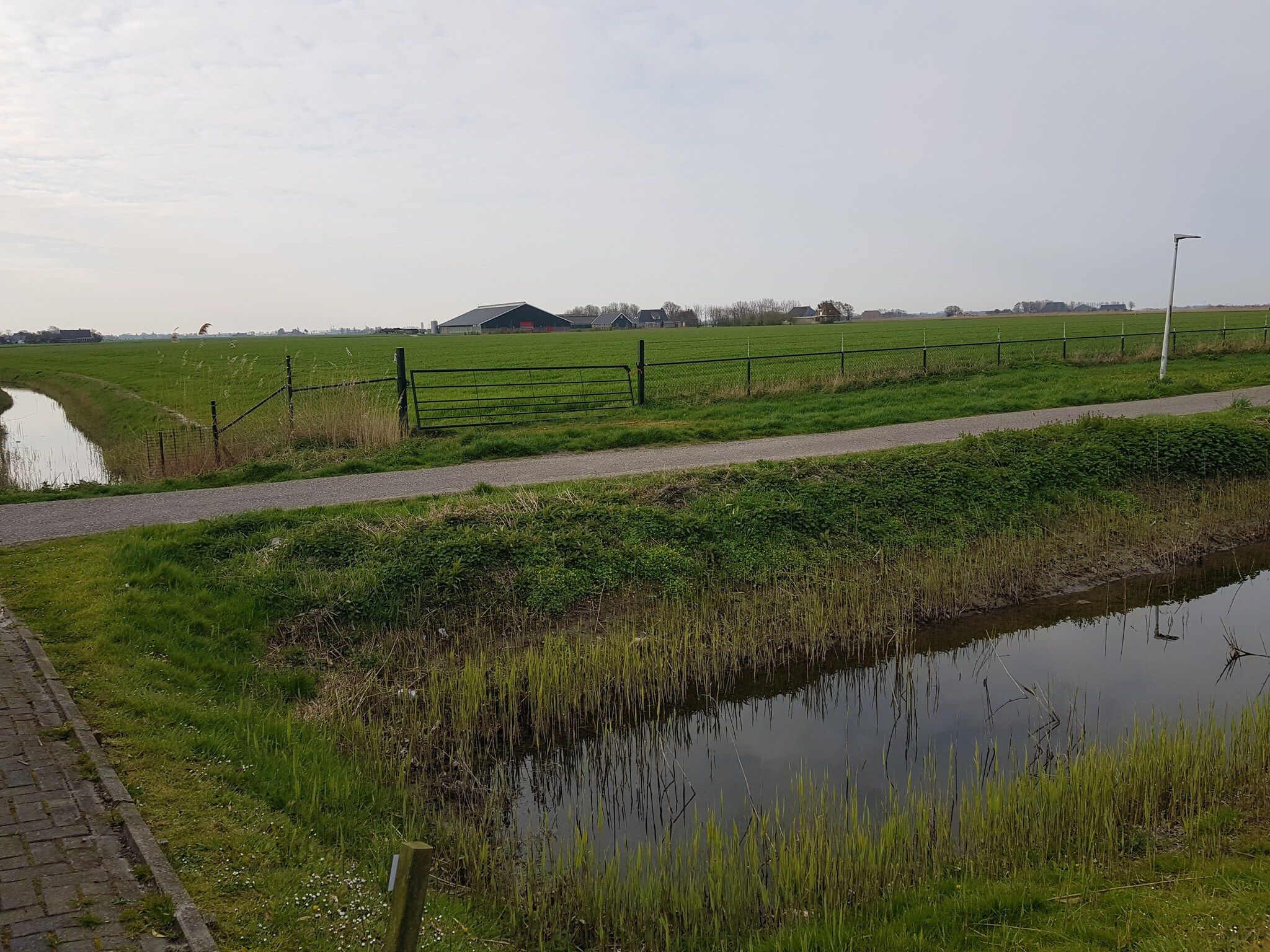 Het uitzicht vanaf Bargereed 66 in Tzummarum