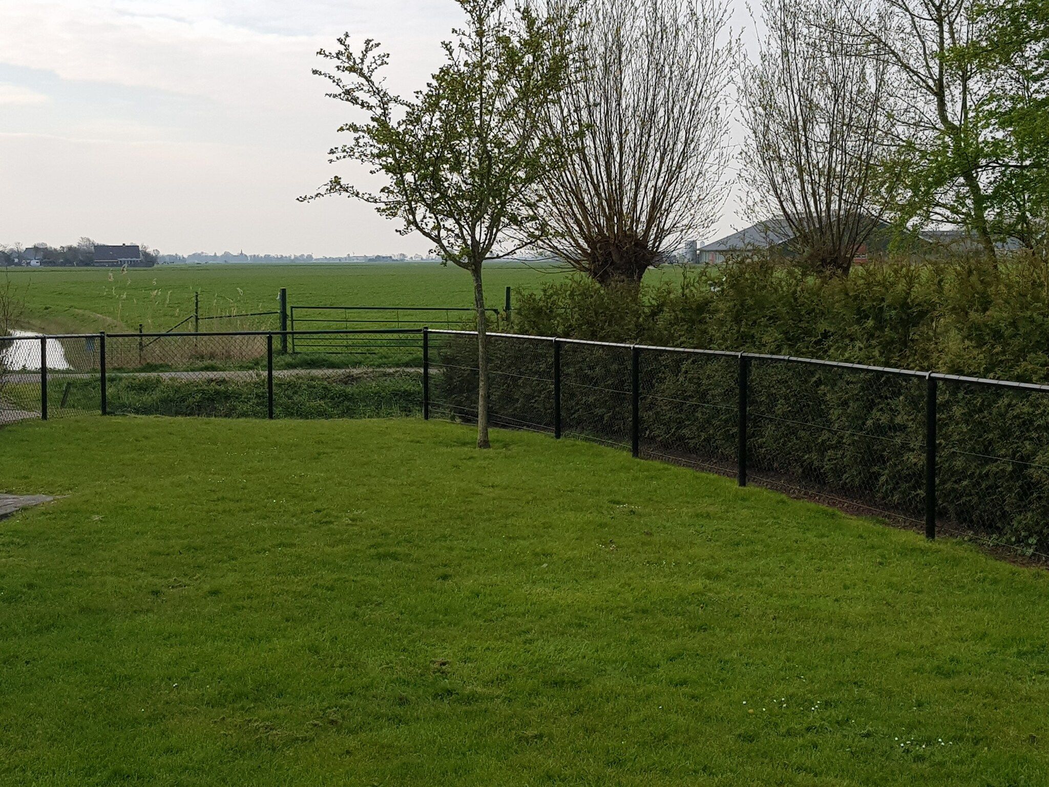 De tuin van Bargereed 66 in Tzummarum