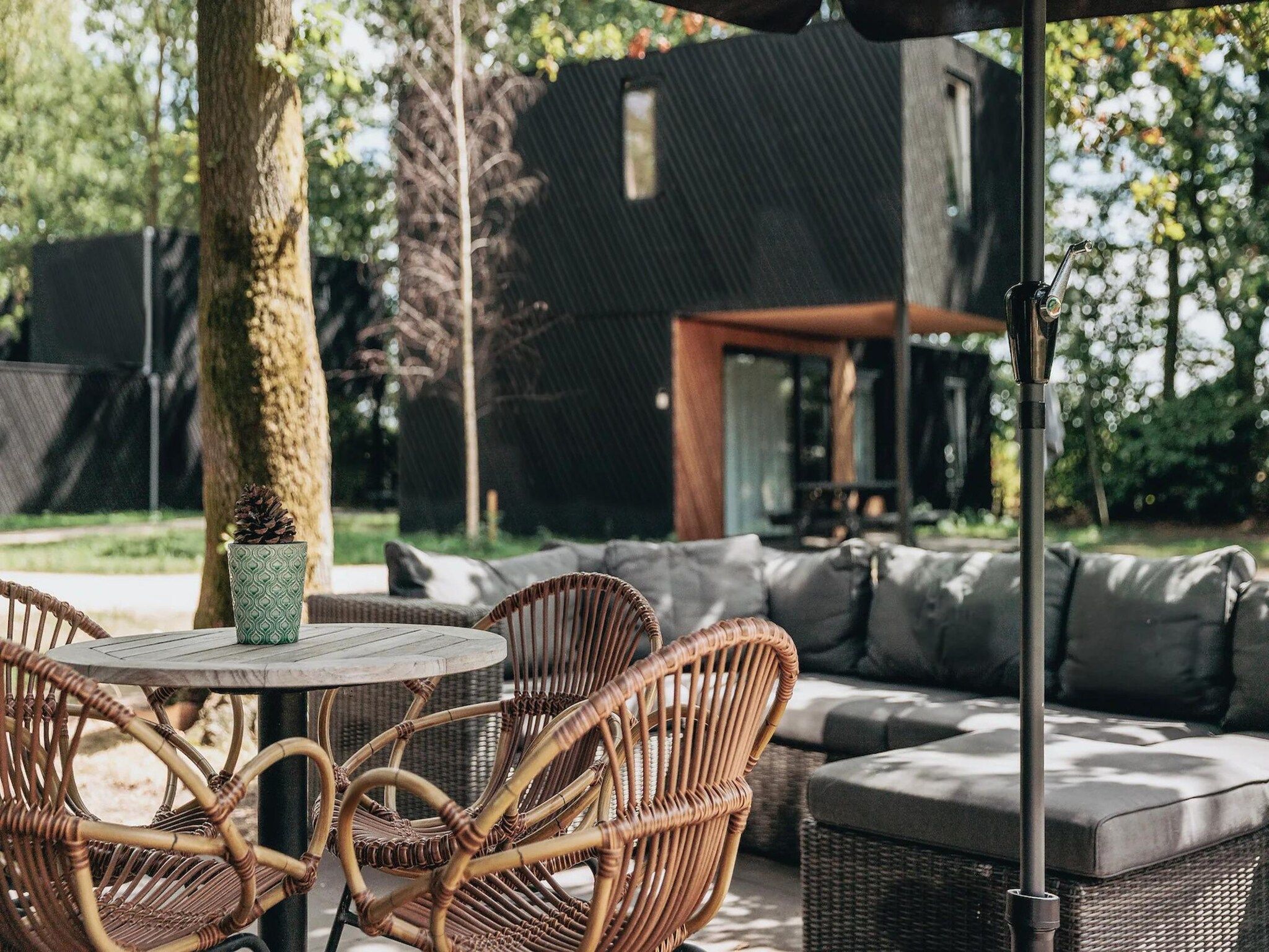 Het terras van Patio 4&nbsp; in Schaijk