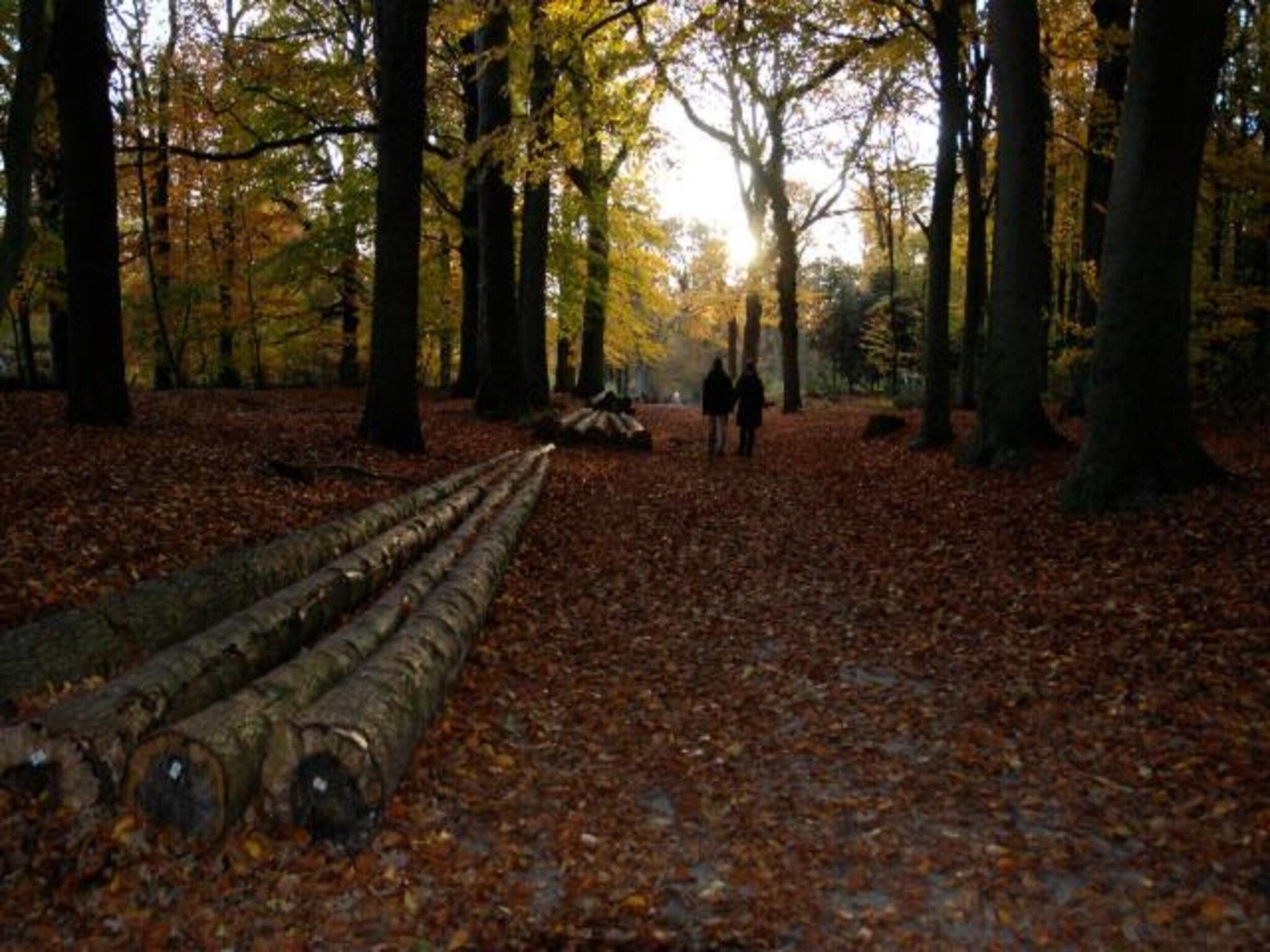 De omgeving van De Meerkoet in Oudemirdum