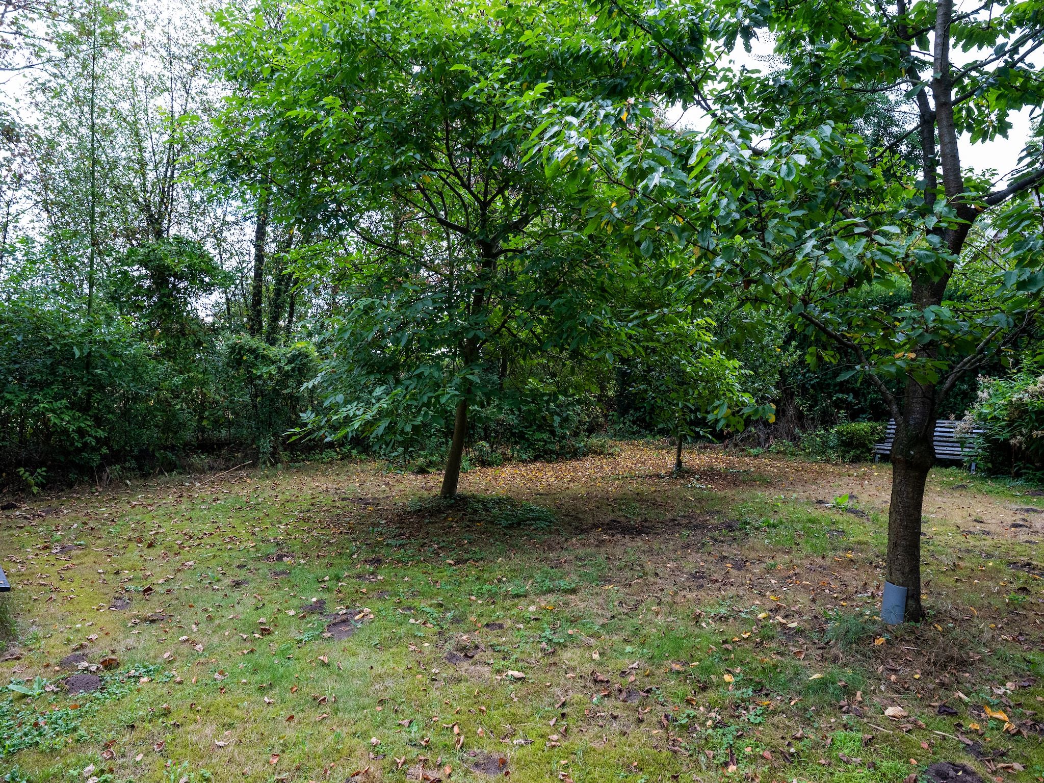 De tuin van De Hagmolenbeek Boekelo in Boekelo
