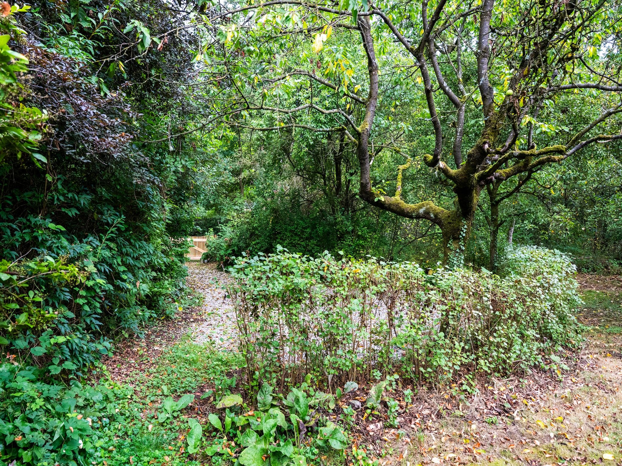De tuin van De Hagmolenbeek Boekelo in Boekelo