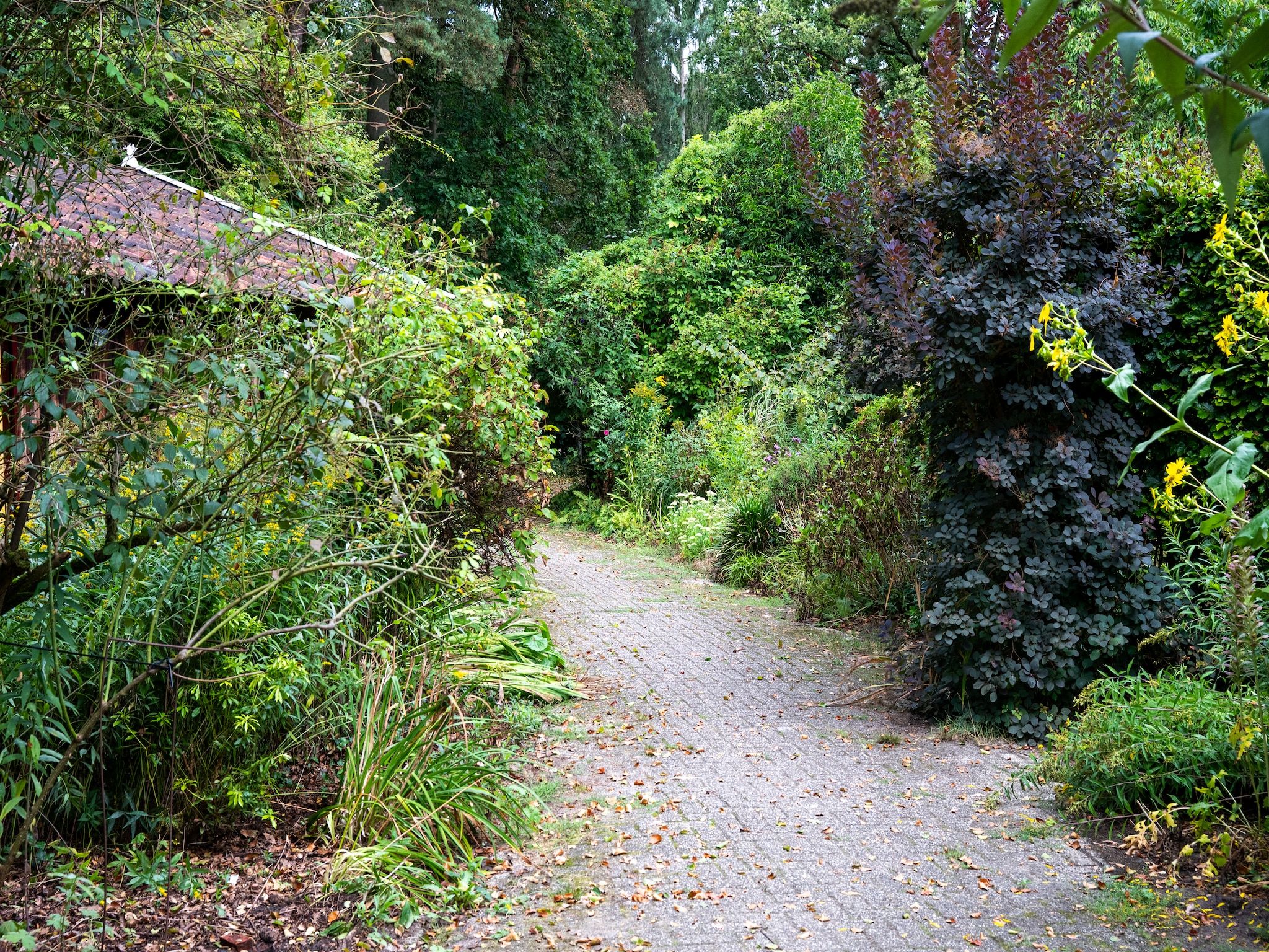 De tuin van De Hagmolenbeek Boekelo in Boekelo