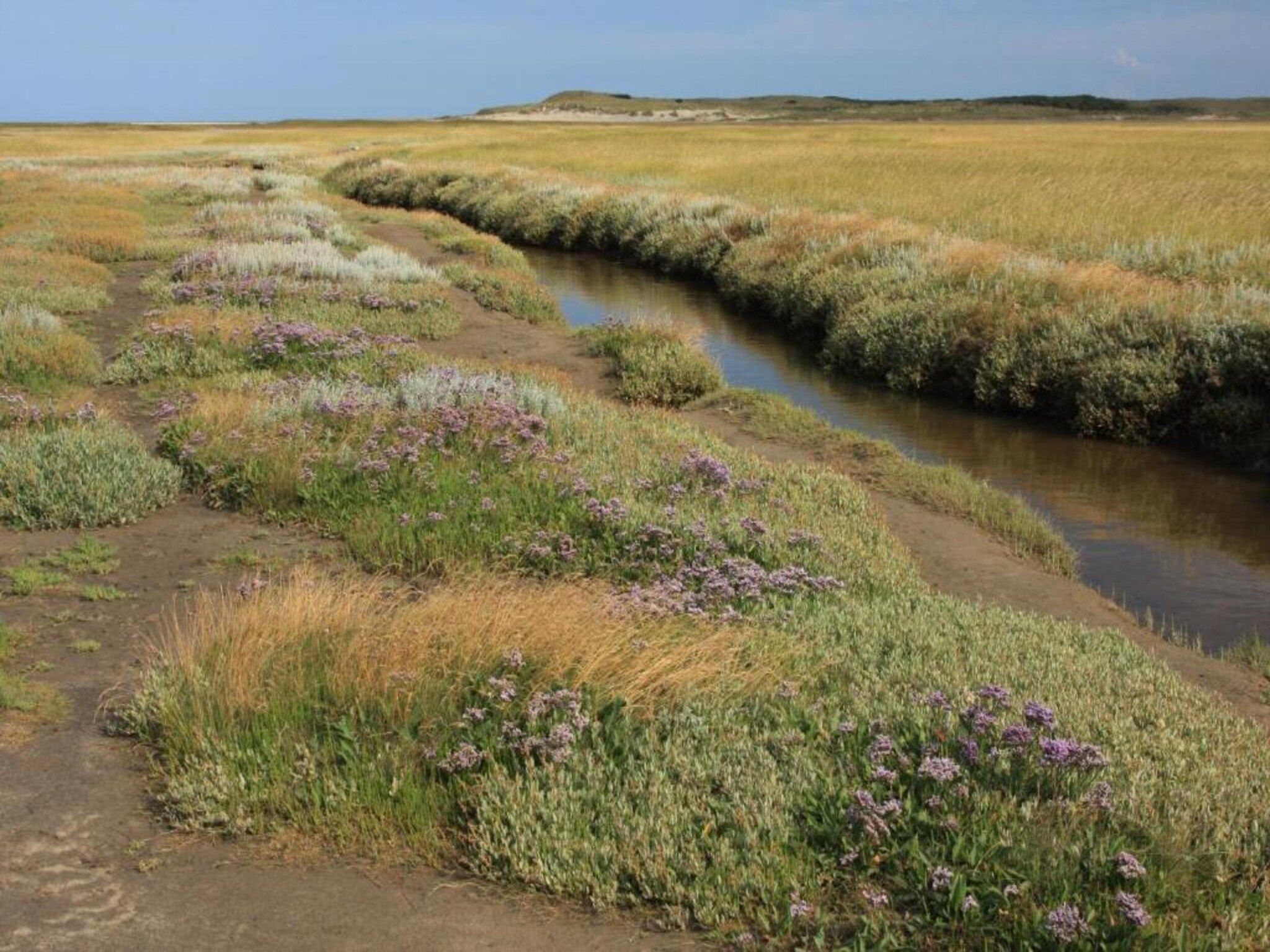 De omgeving van Zee Bries in De Koog