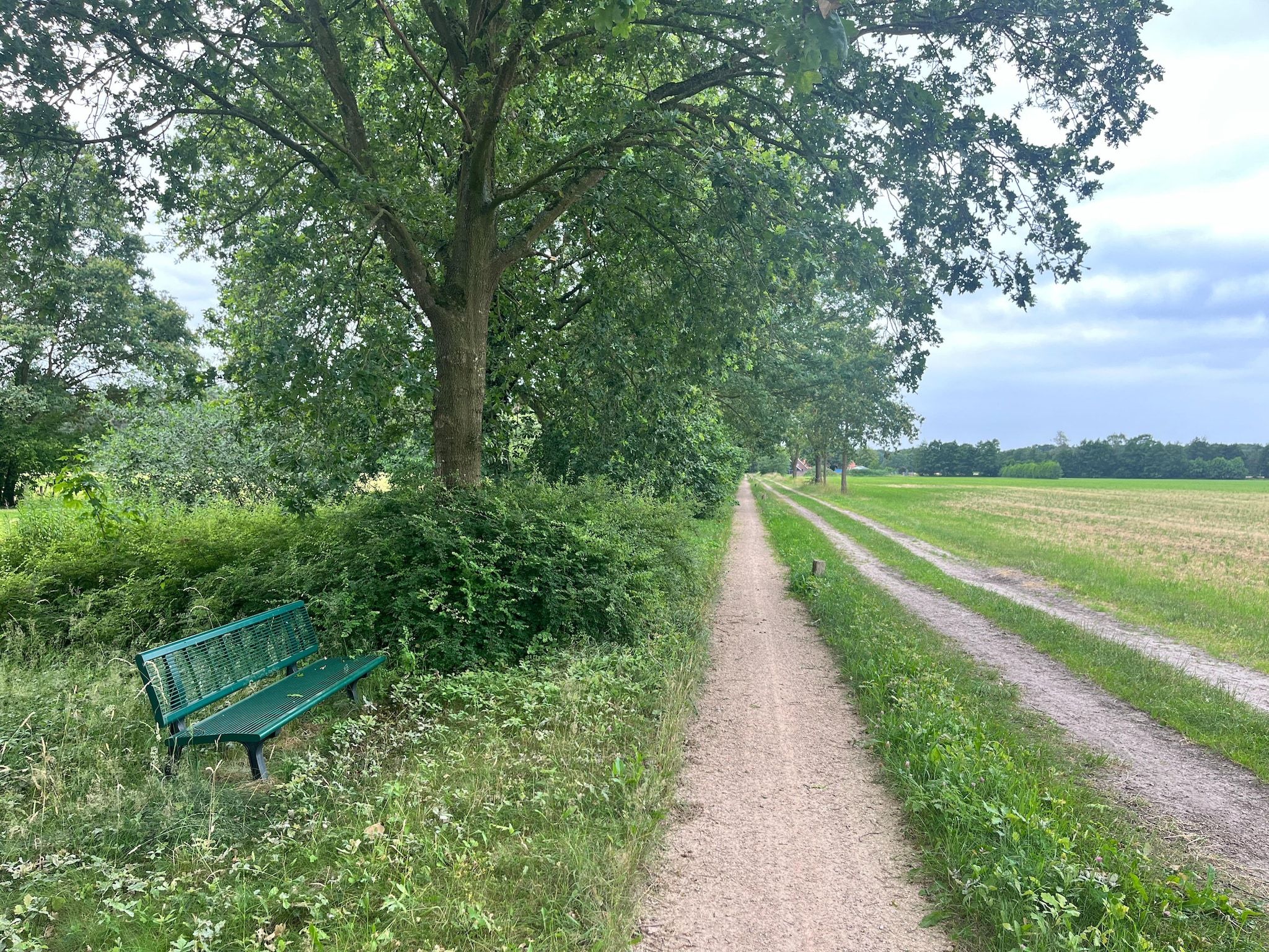 Gastenverblijf Langelshoes in Haaksbergen - Foto 16 van 22
