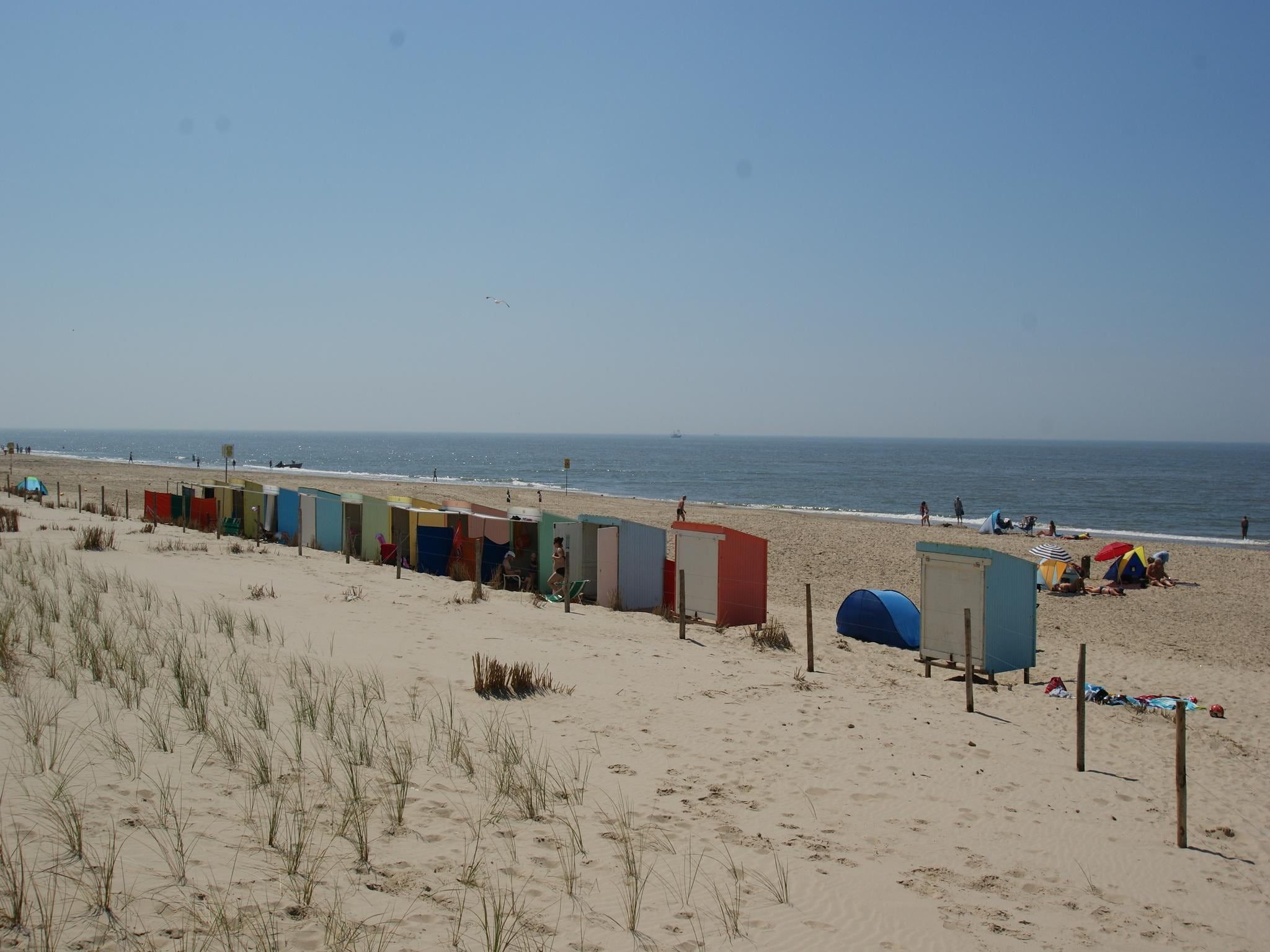 De omgeving van Suite Koeboet in Callantsoog