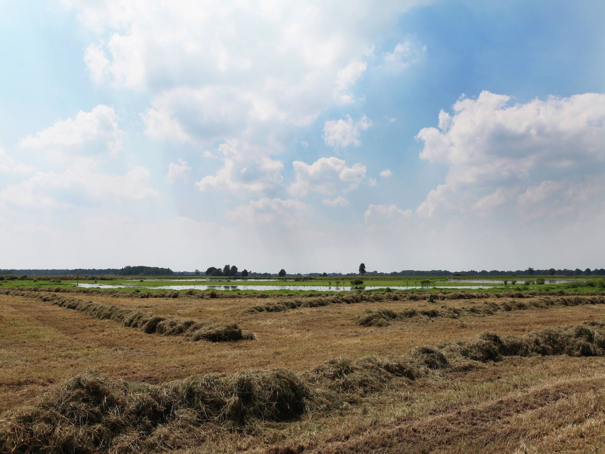 Het uitzicht vanaf De Maaijen in Ulicoten