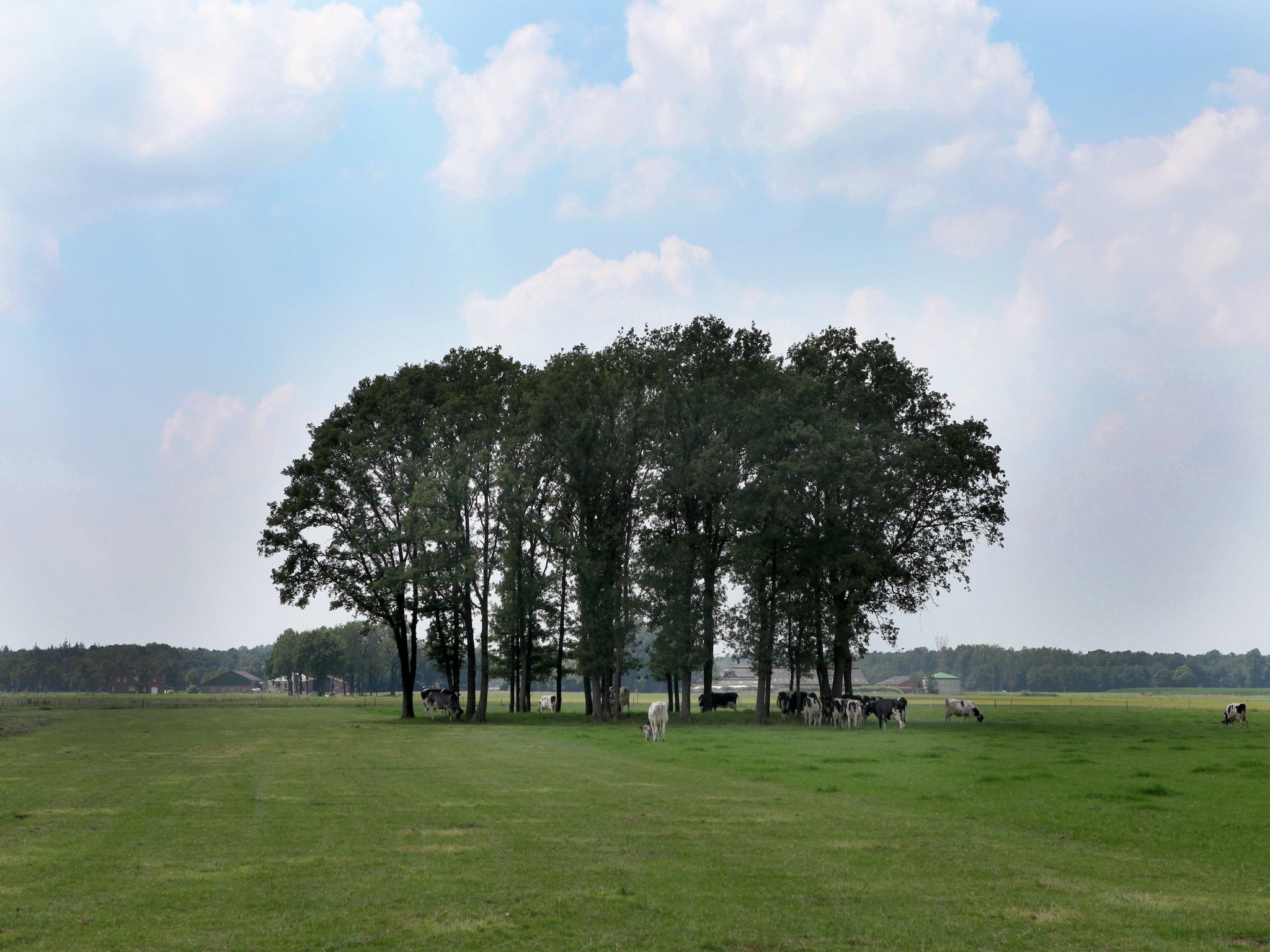 Het uitzicht vanaf De Maaijen in Ulicoten